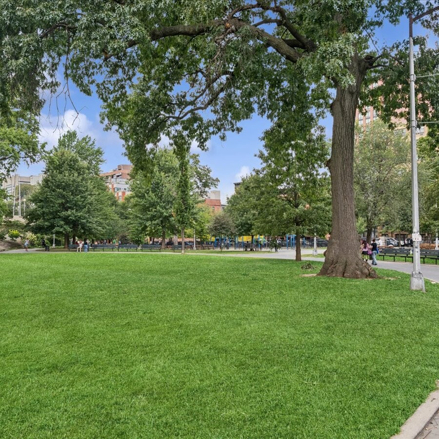 #9 photo, 1919 MADISON Avenue, マンハッタン South Harlem , NY 10035