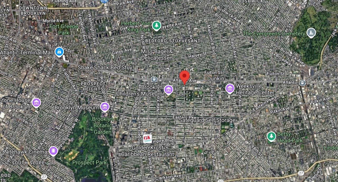 #14 photo, 1526 Pacific Street, Brooklyn , NY 11213