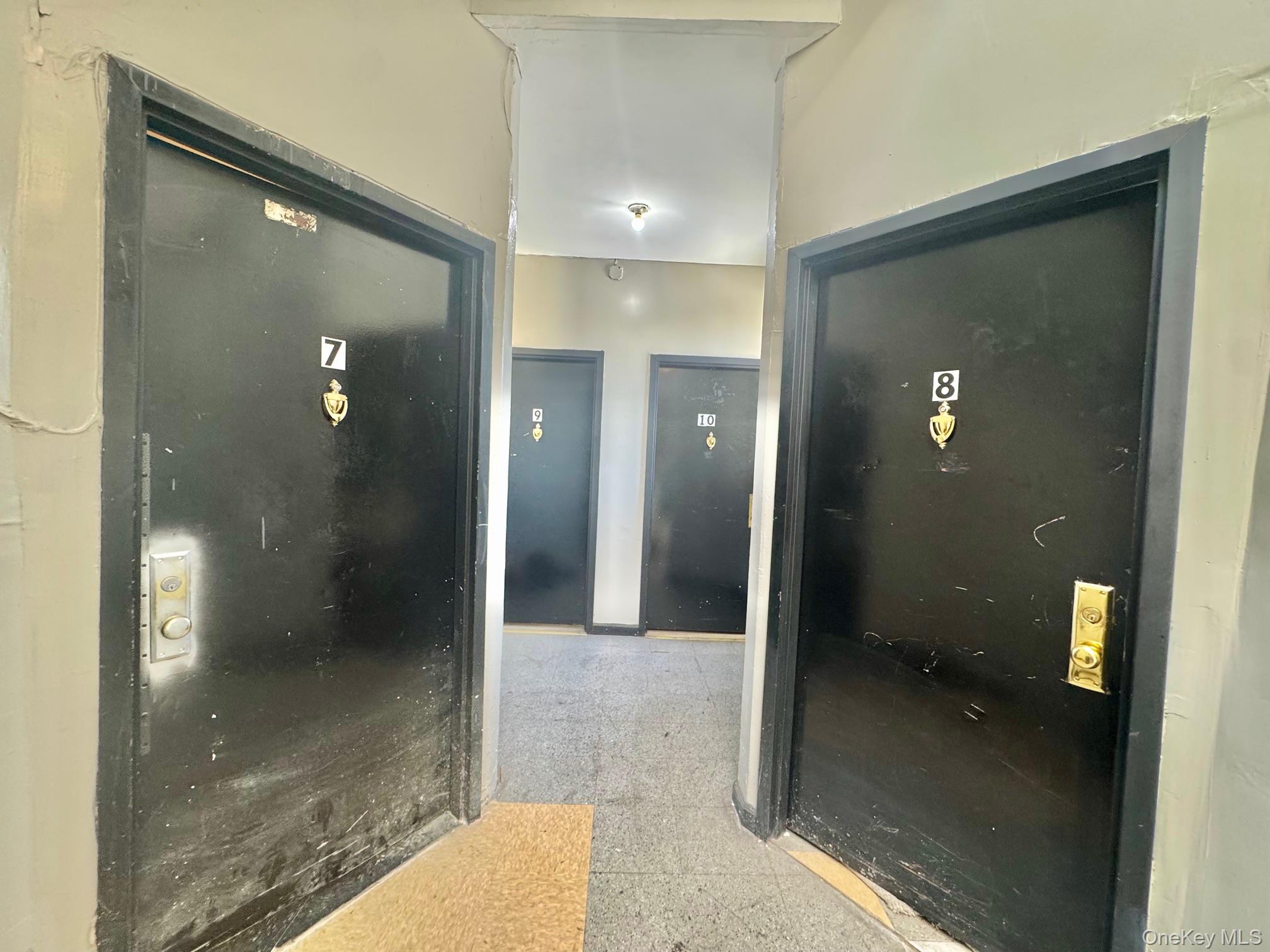 #18 photo, 1526 Pacific Street, Brooklyn , NY 11213