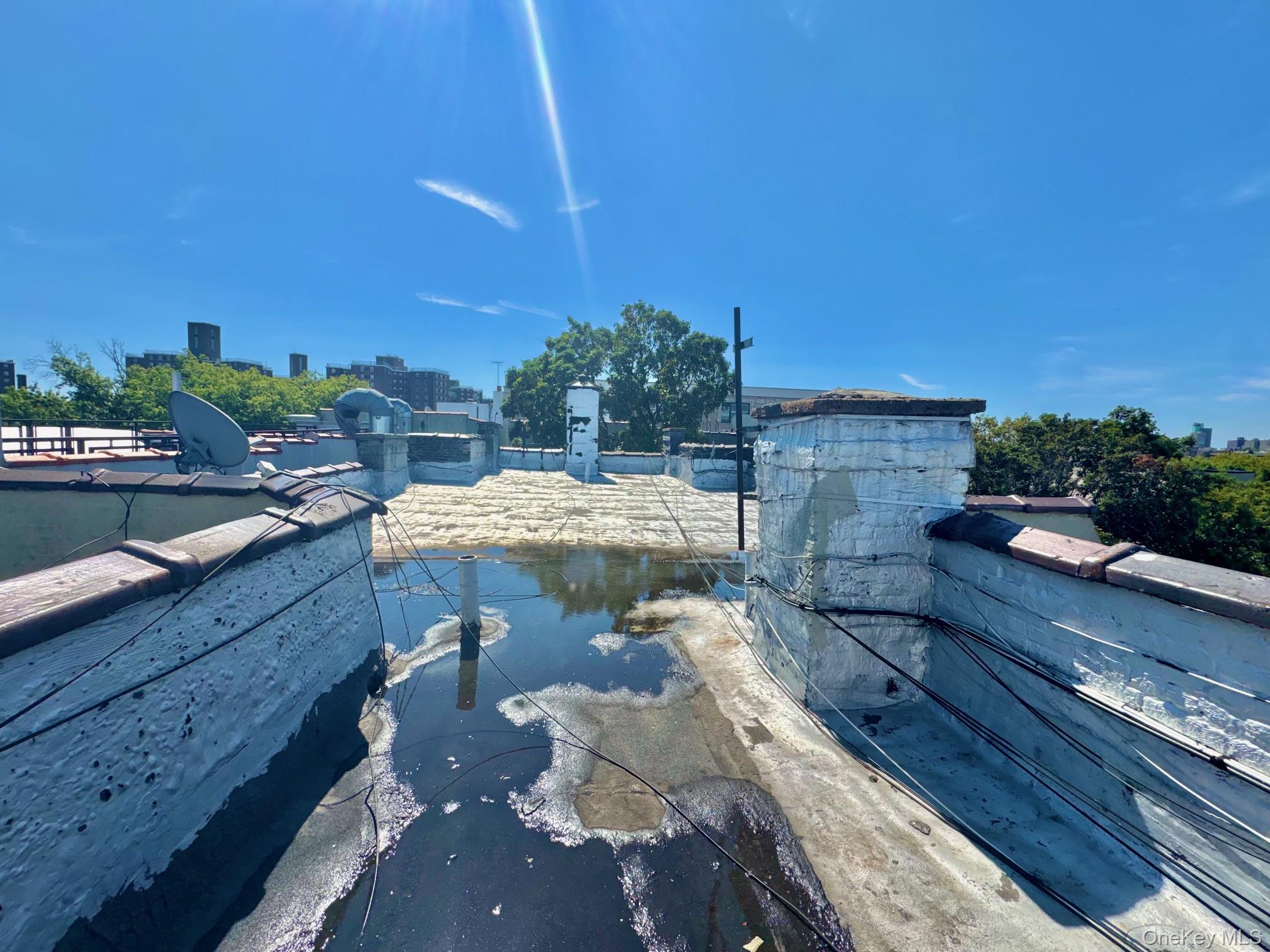 #20 photo, 1526 Pacific Street, Brooklyn , NY 11213