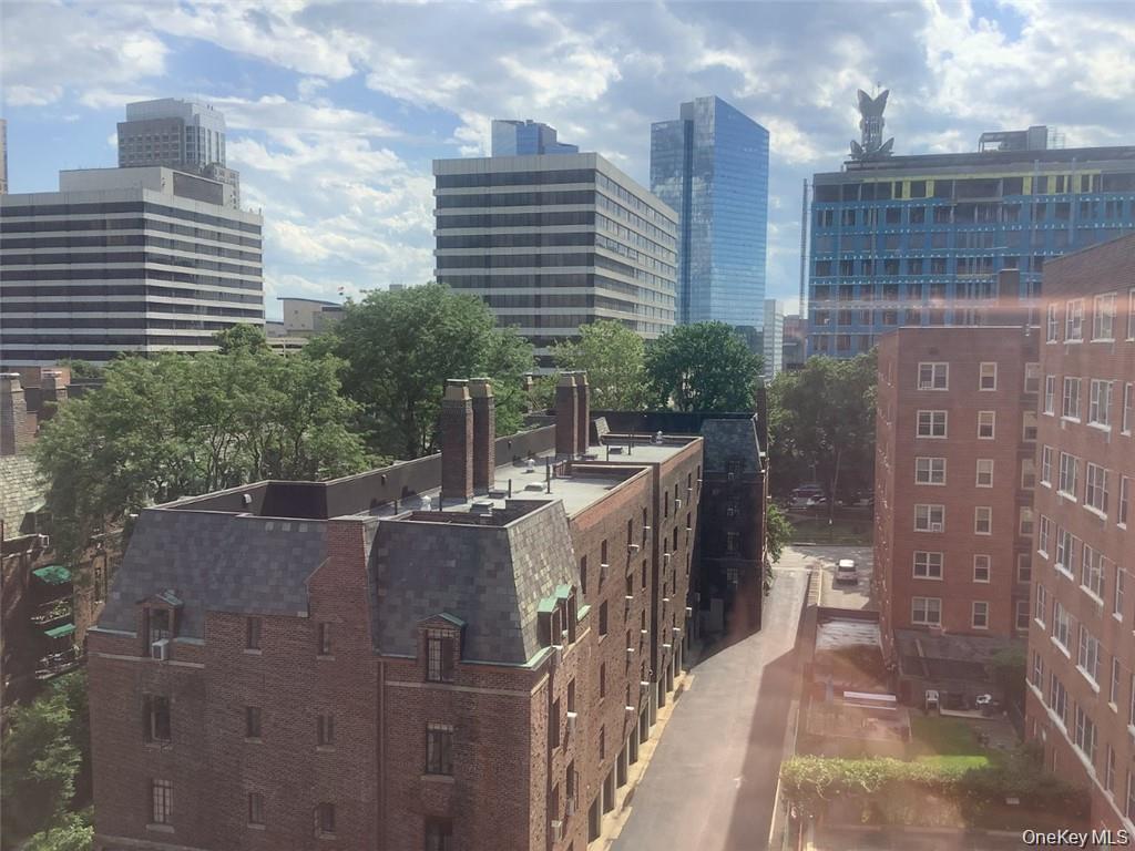 #9 photo, 16 Lake Street, White Plains , NY 10603