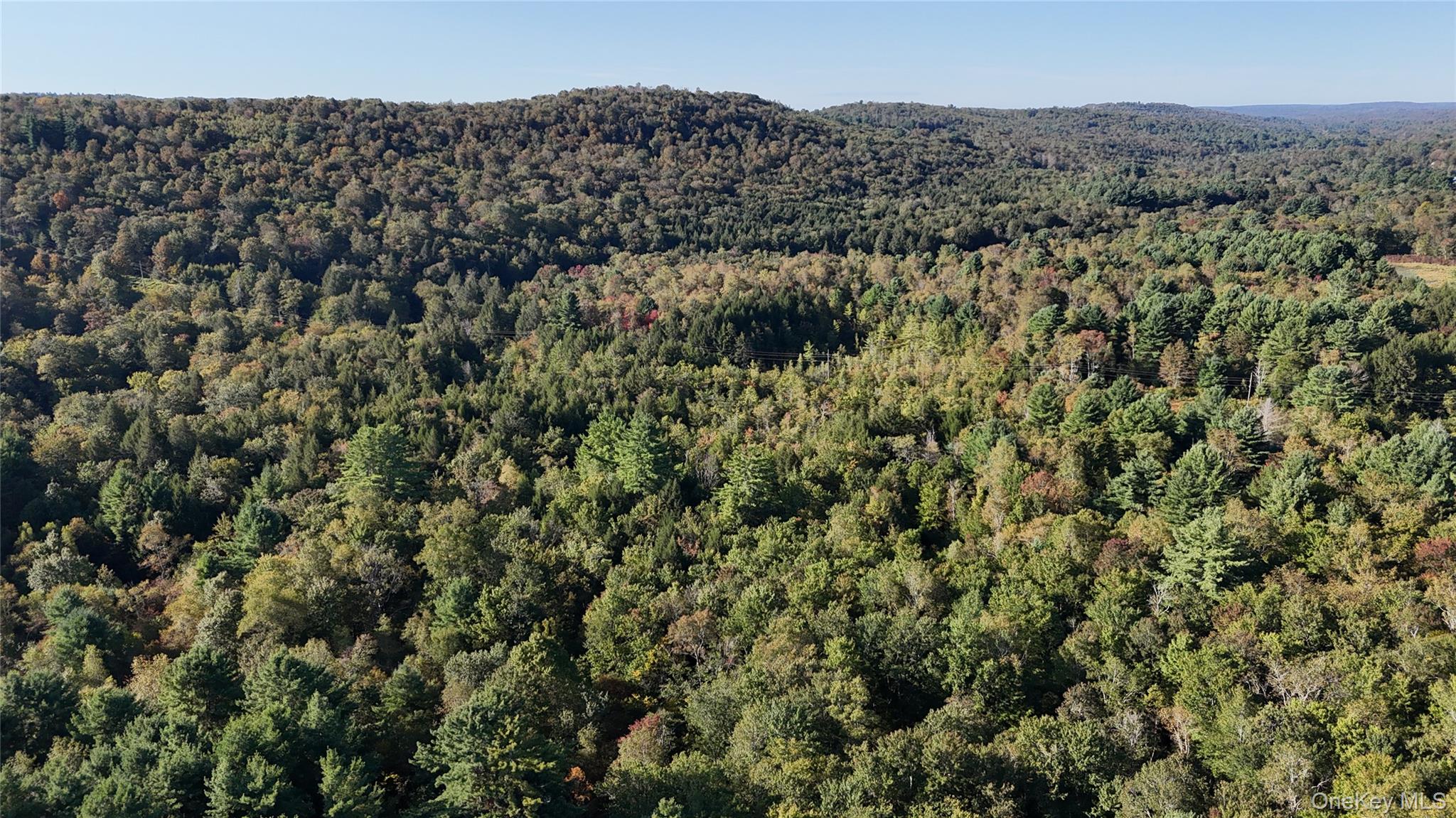 #11 photo, Town Park Road, Monticello , NY 12701