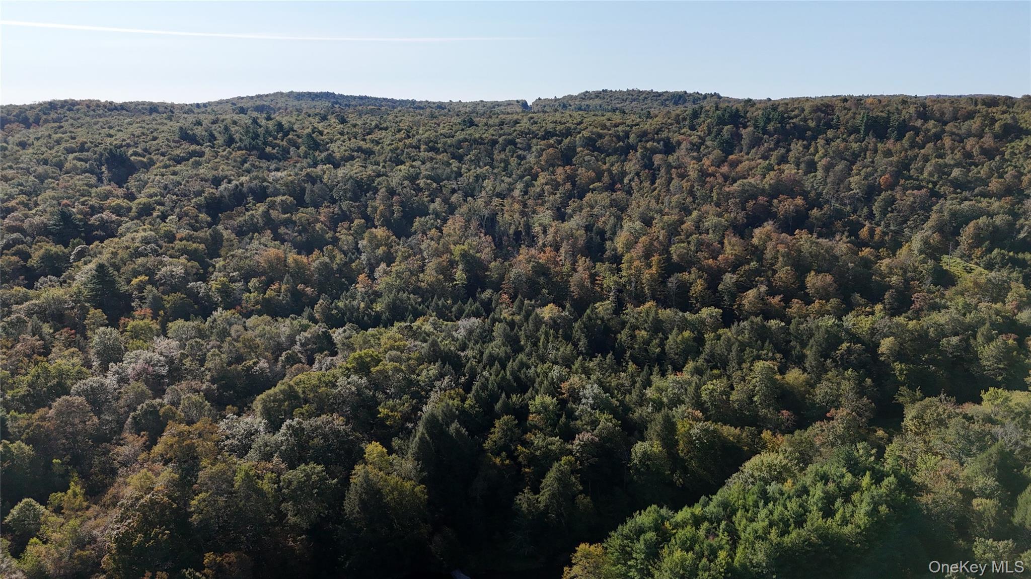 #12 photo, Town Park Road, Monticello , NY 12701