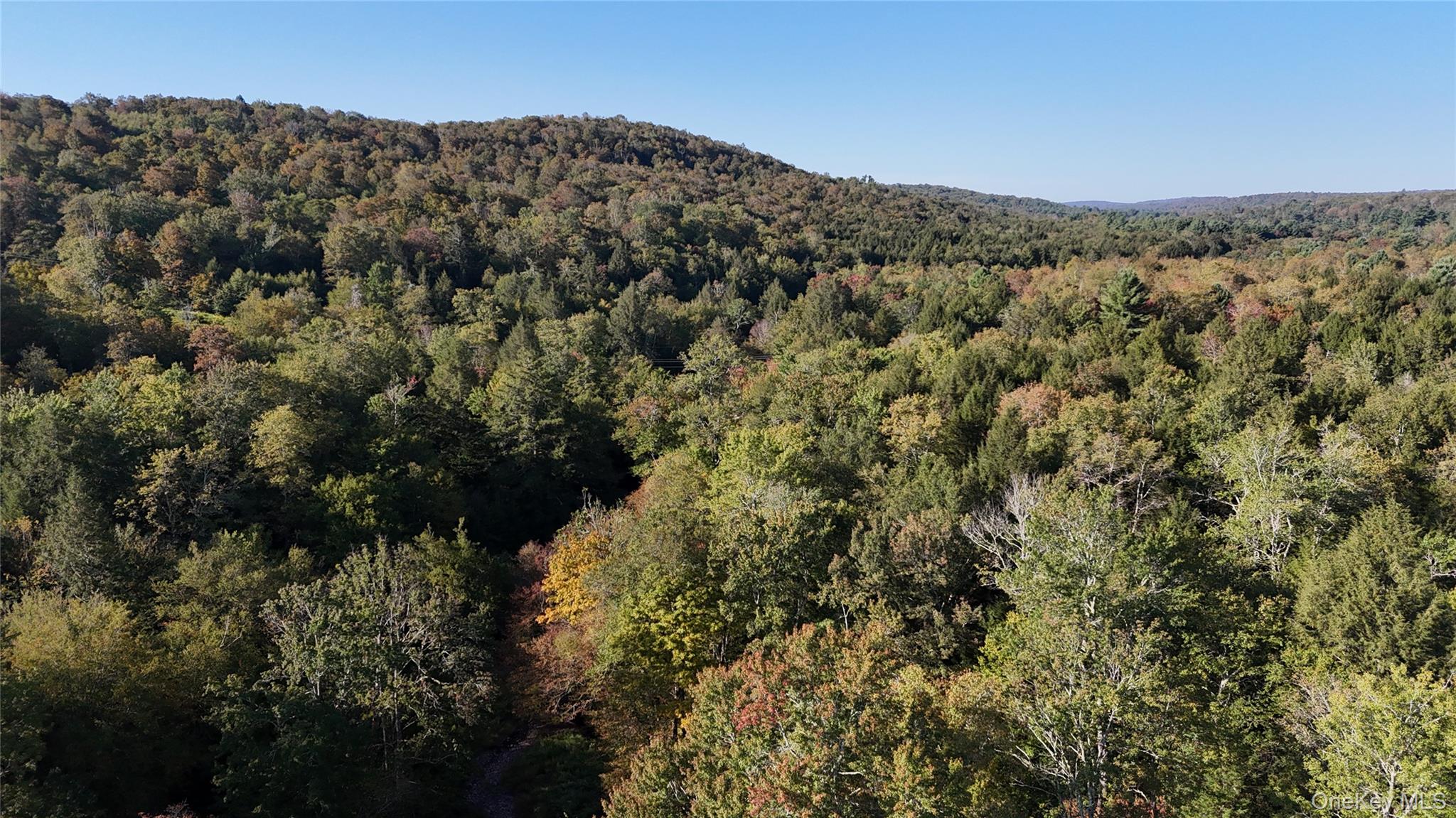 #2 photo, Town Park Road, Monticello , NY 12701