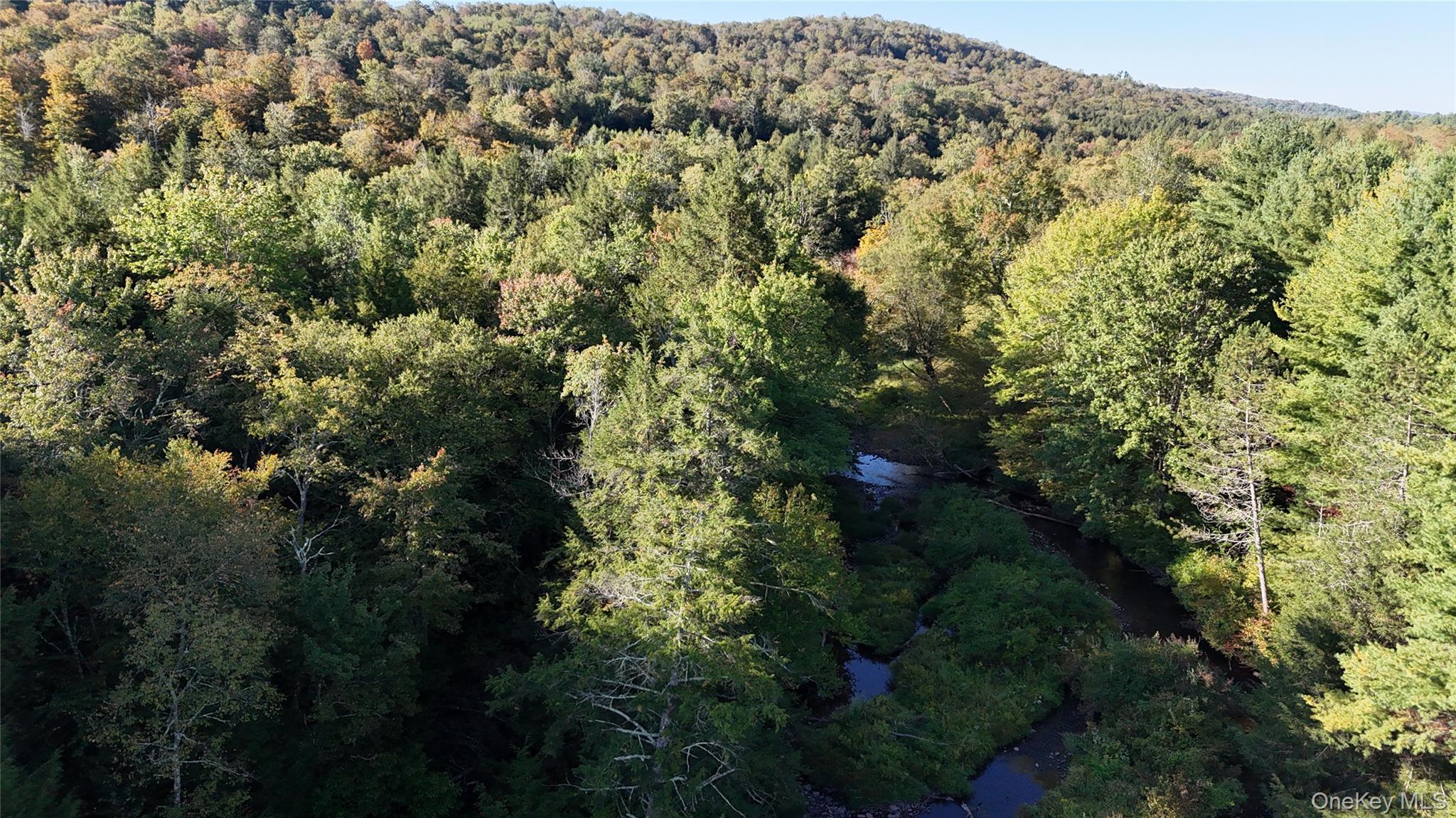 #6 photo, Town Park Road, Monticello , NY 12701