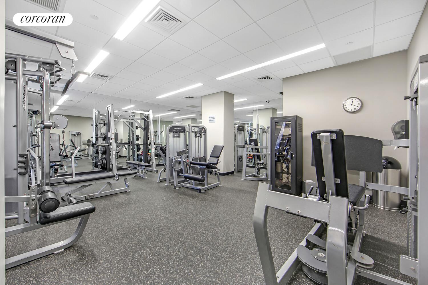 #9 photo, New York City, マンハッタン Roosevelt Island , NY 10044