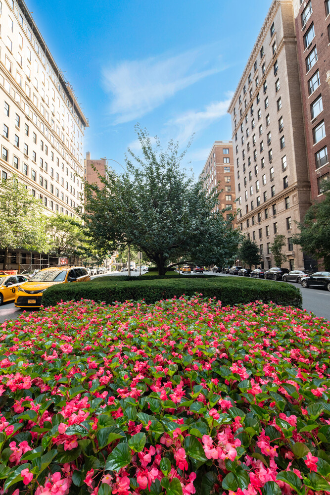 #18 photo, 969 PARK Avenue, Upper East Side , NY 10028