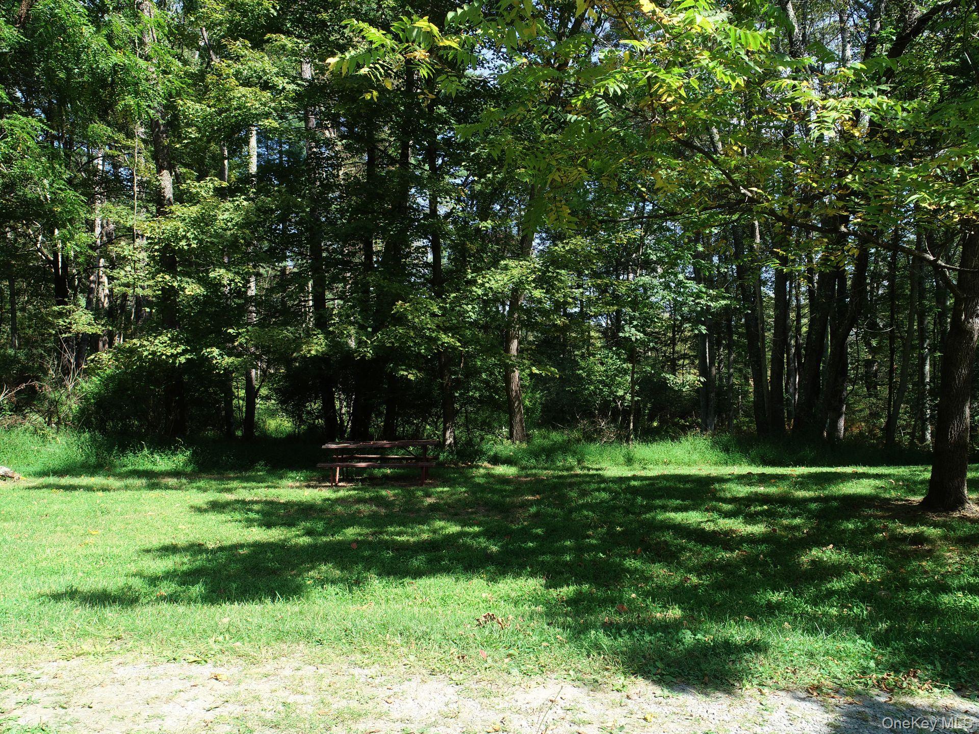 #3 photo, 00 Phillipsport Road, Wurtsboro , NY 12790