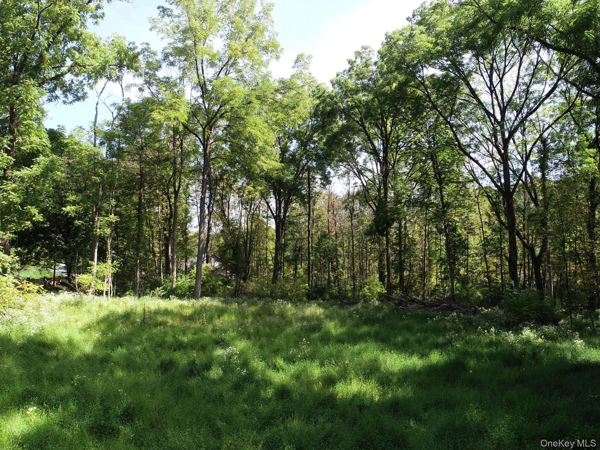 #4 photo, 00 Phillipsport Road, Wurtsboro , NY 12790