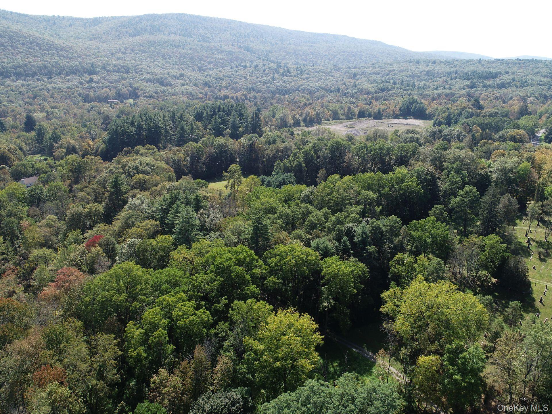 #6 photo, 00 Phillipsport Road, Wurtsboro , NY 12790