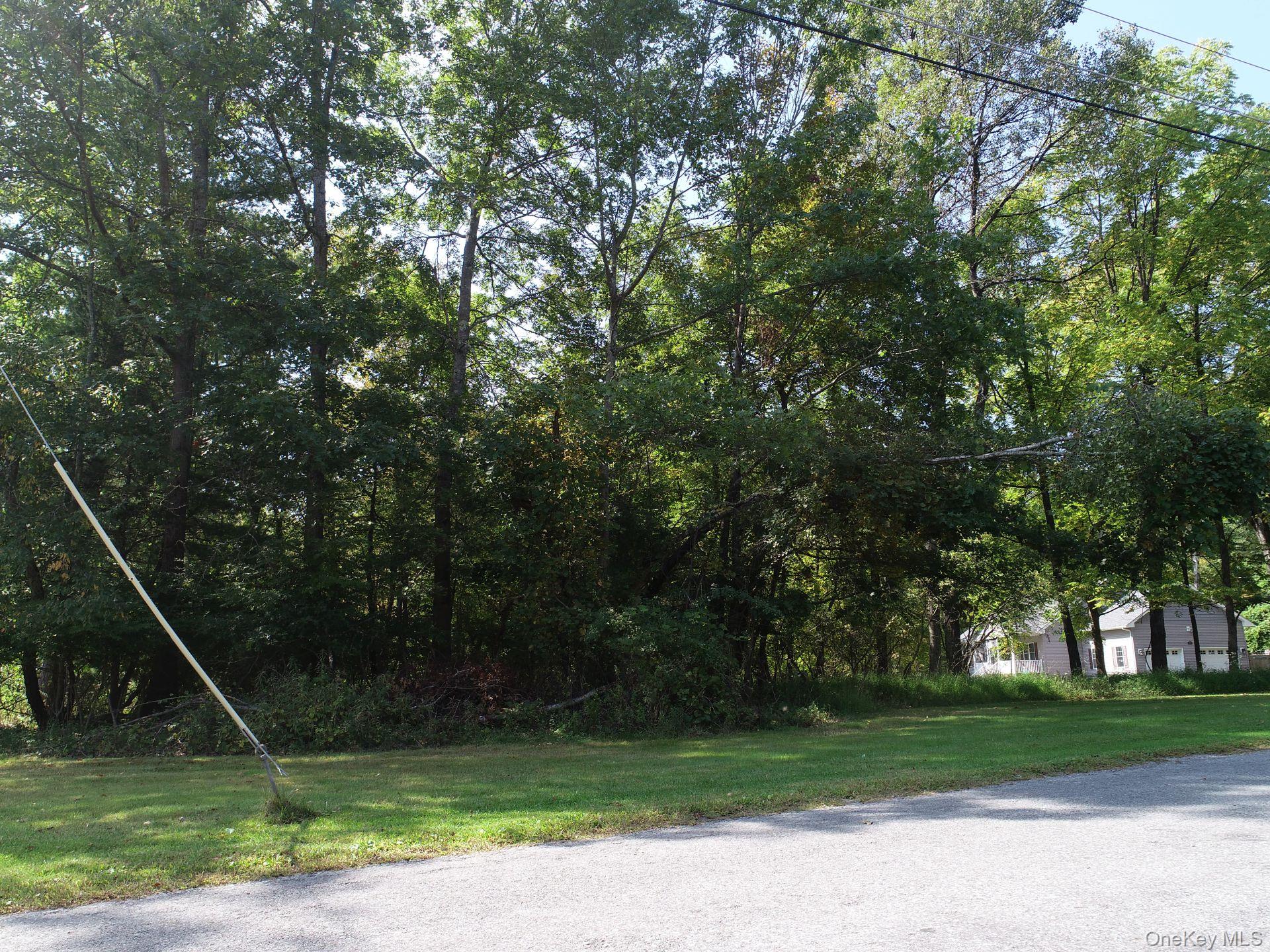 #9 photo, 00 Phillipsport Road, Wurtsboro , NY 12790