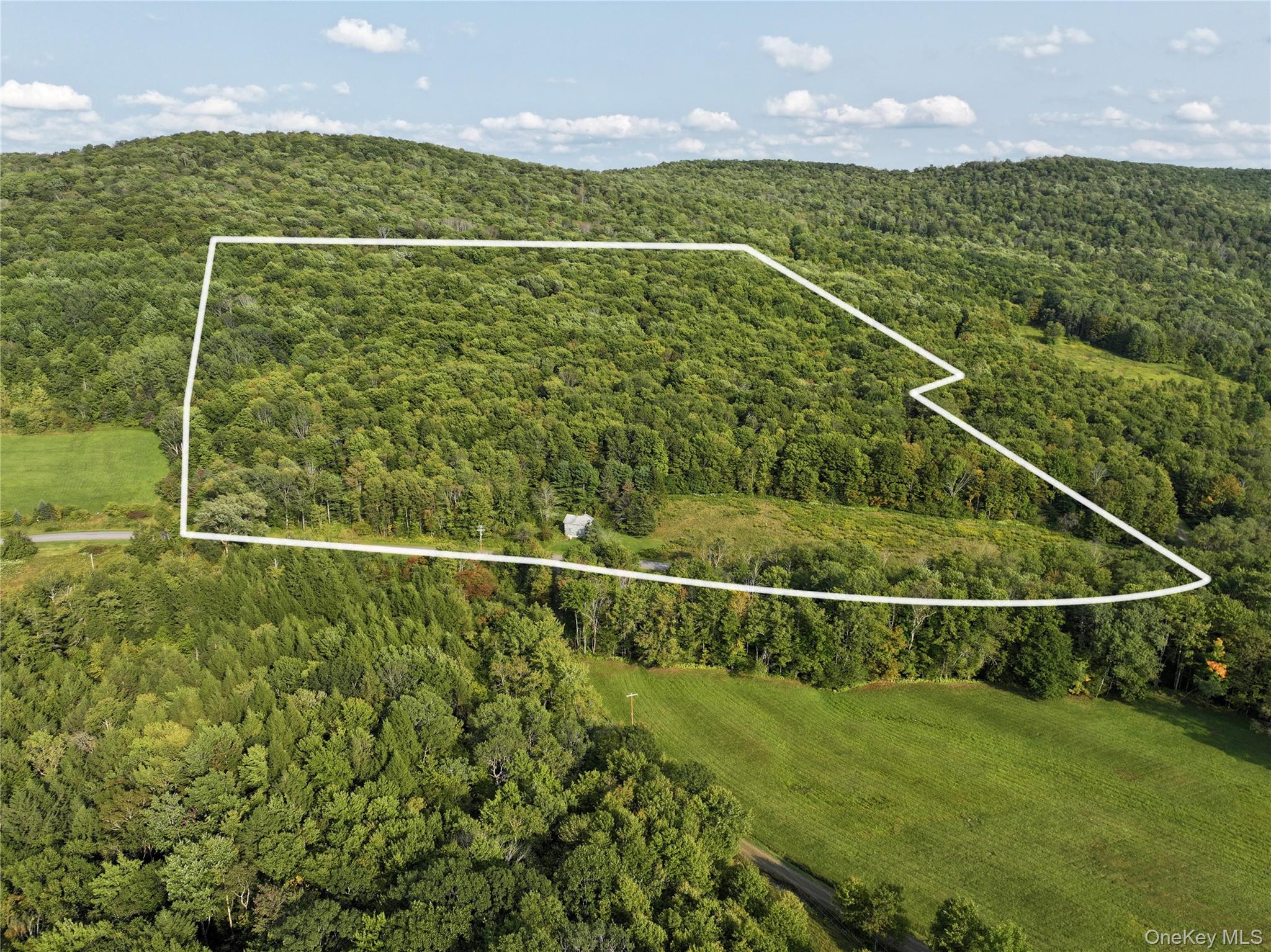 #1 photo, 1990 Finch Hollow Road, Walton , NY 13856