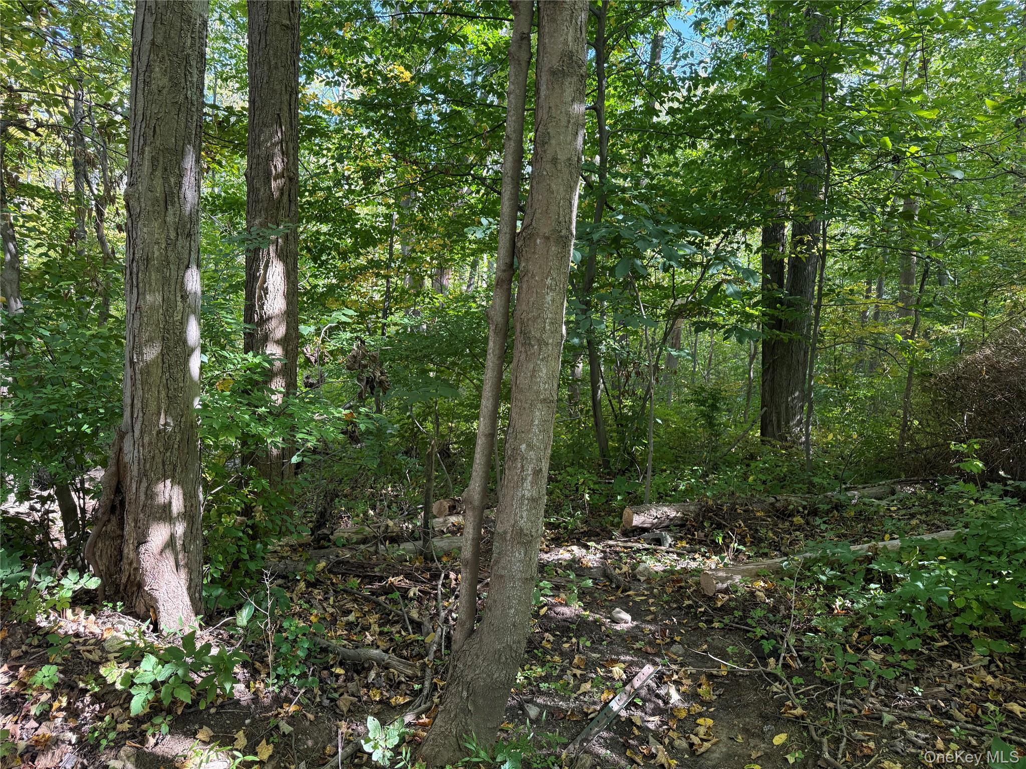 #2 photo, Ludington, Carmel , NY 10512