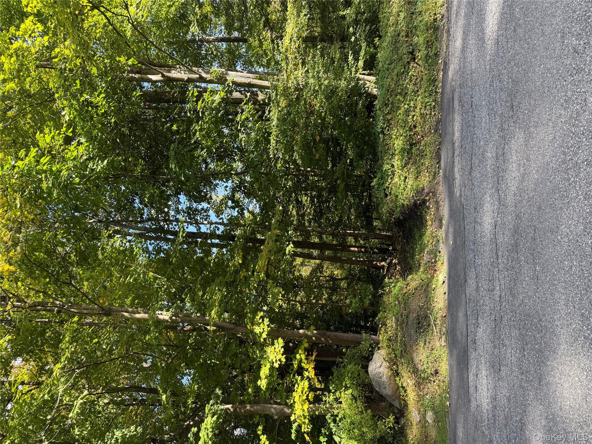 #4 photo, Ludington, Carmel , NY 10512