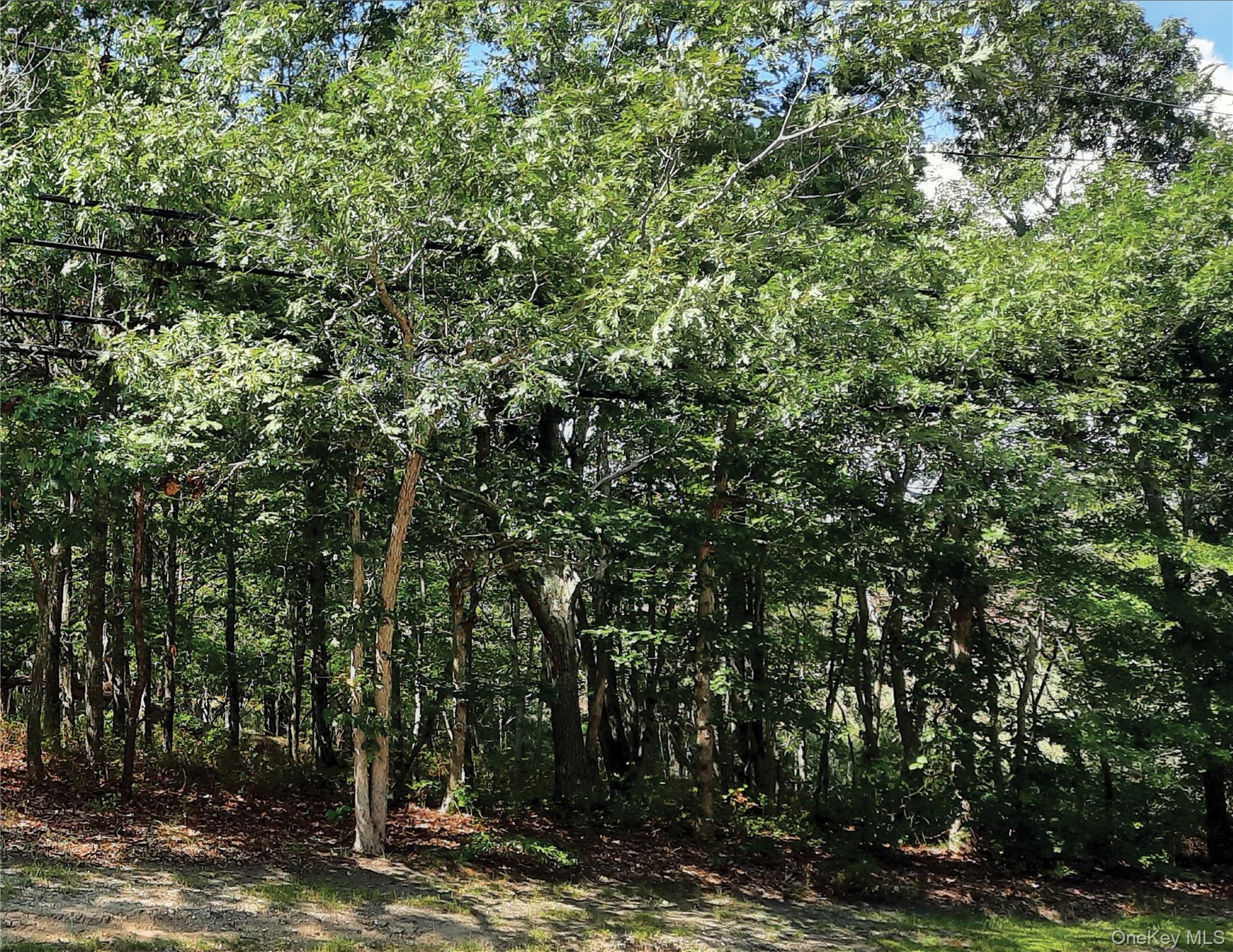 #3 photo, 149 Montauk Highway, サフォーク郡 Quogue , NY 11959