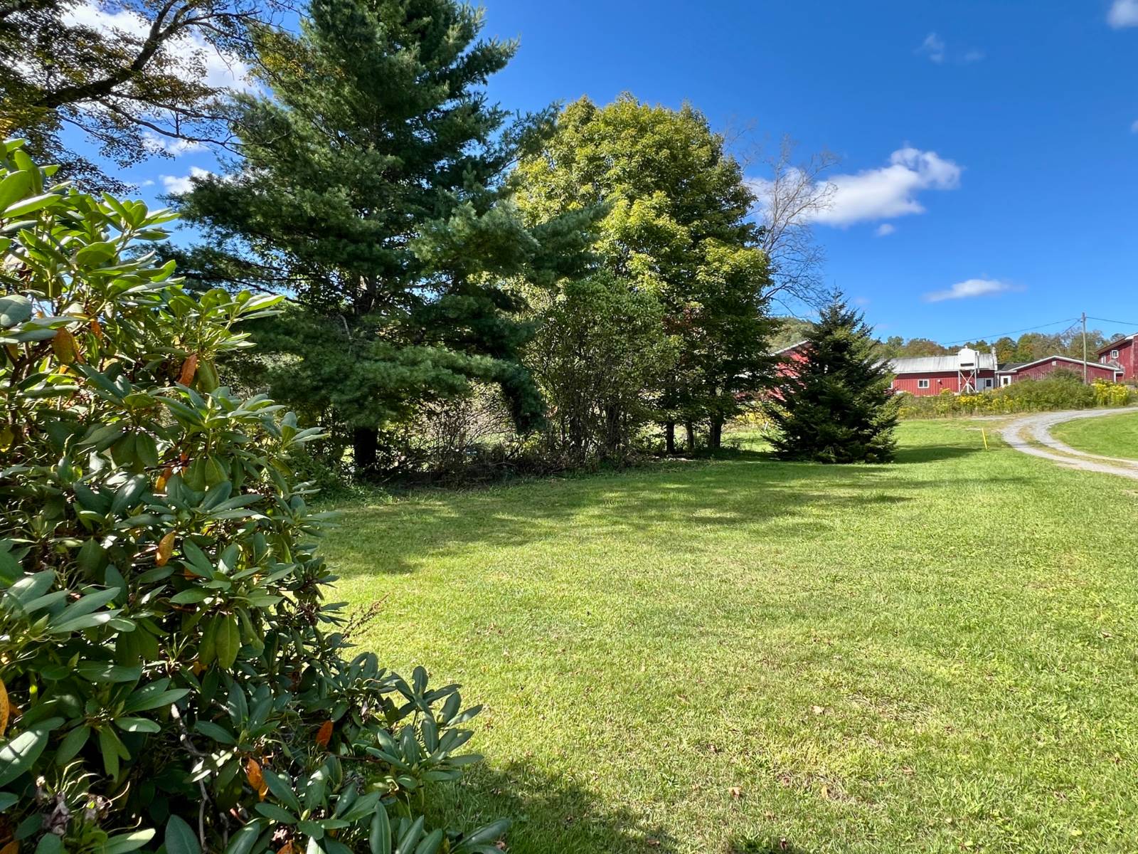 #3 photo, 635 Charlotte Valley Rd, Charlotteville , NY 12036