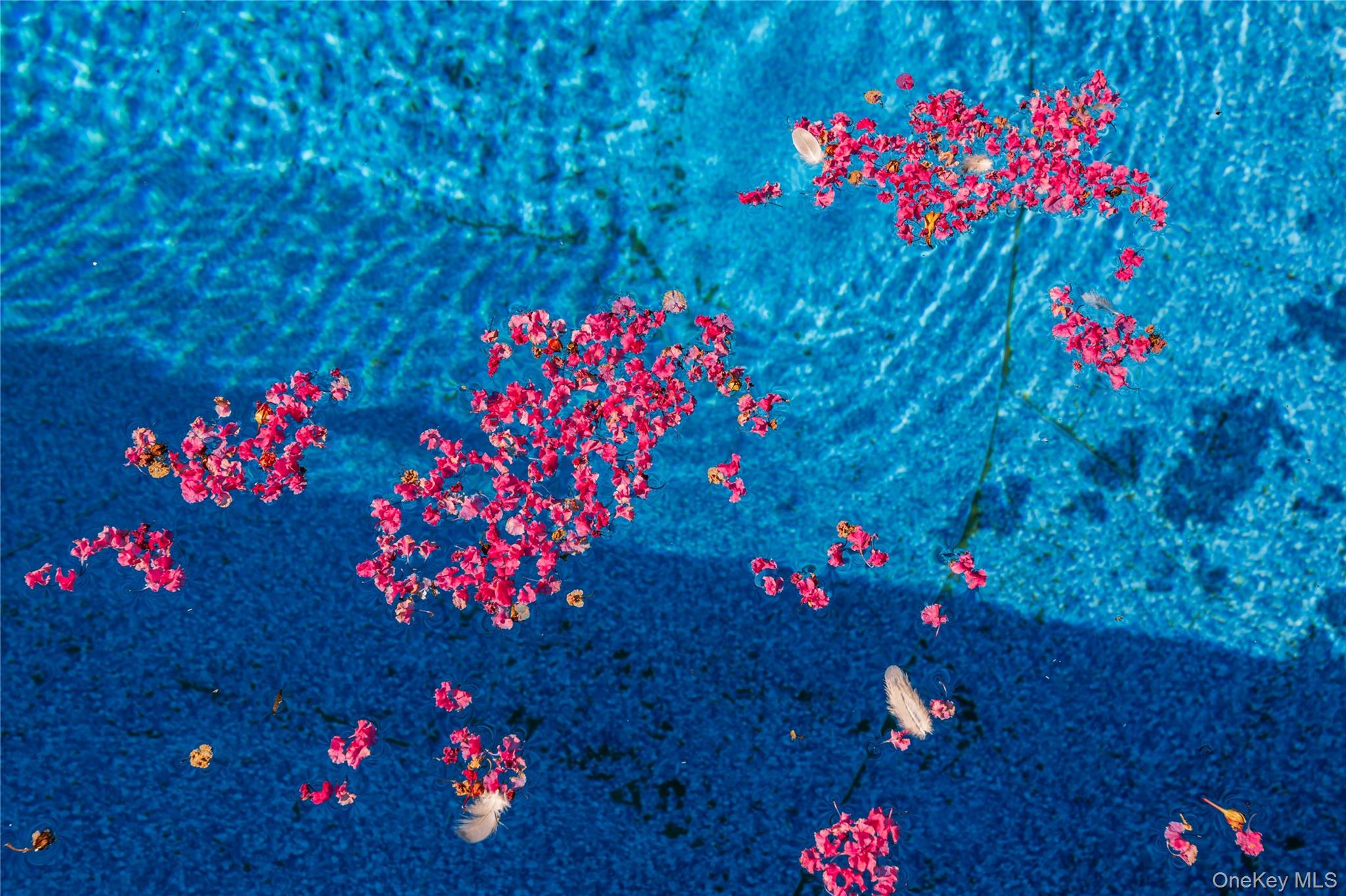 #6 photo, 869 Beach Street, サフォーク郡 Lindenhurst , NY 11757