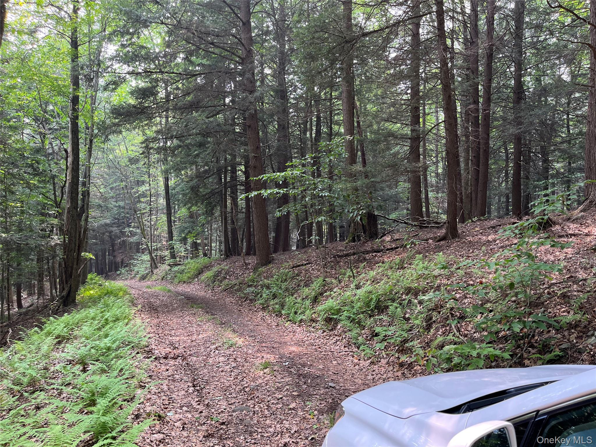 #1 photo, Hood Road, Roscoe , NY 12776