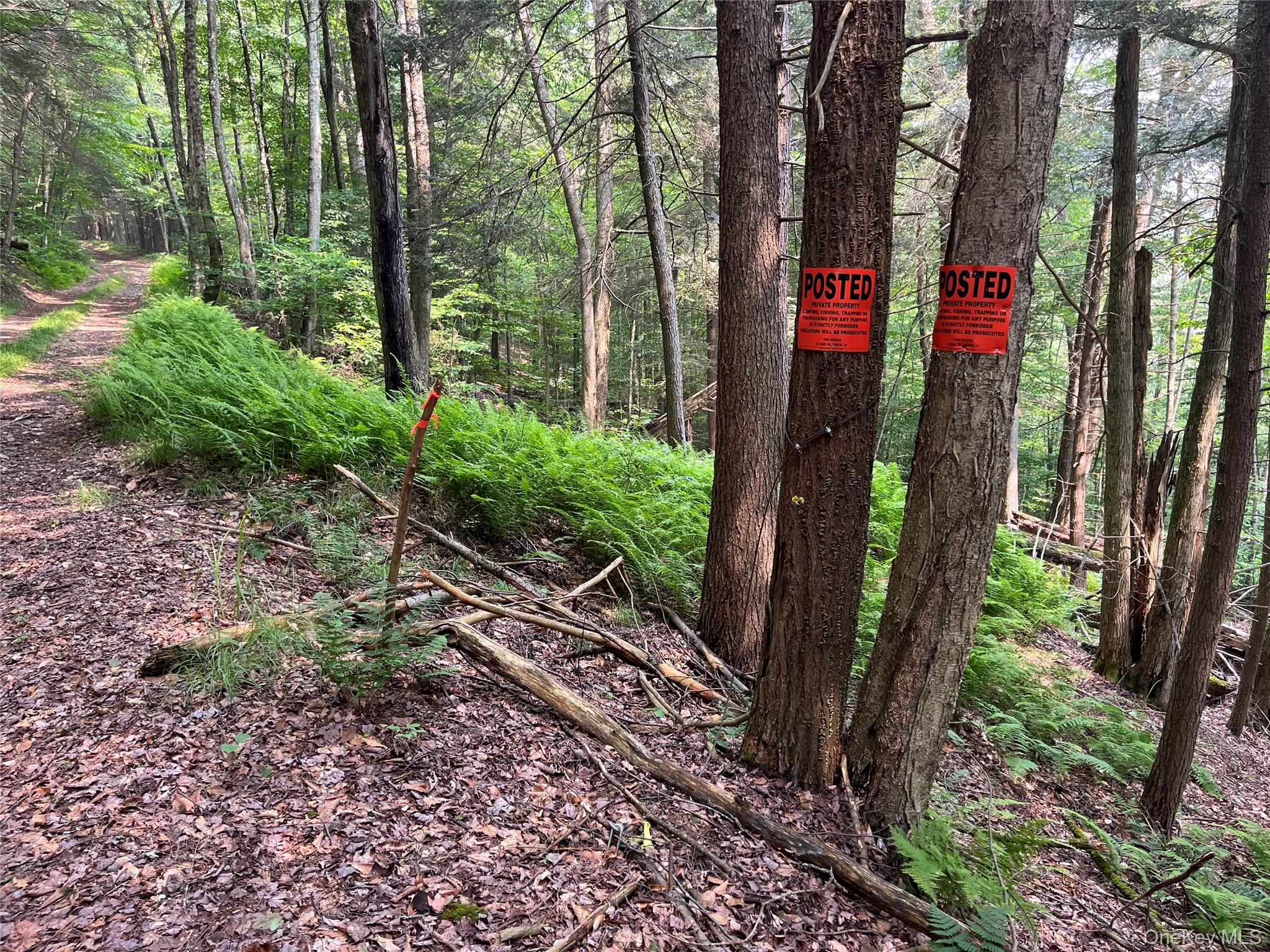 #10 photo, Hood Road, Roscoe , NY 12776