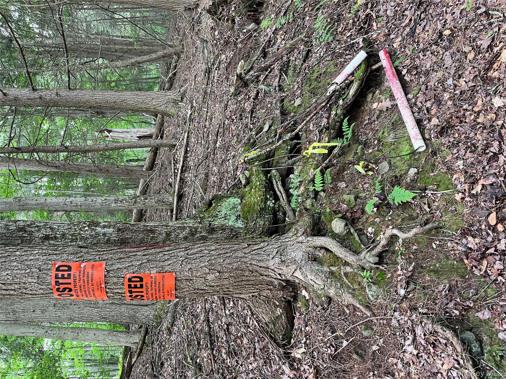 #11 photo, Hood Road, Roscoe , NY 12776