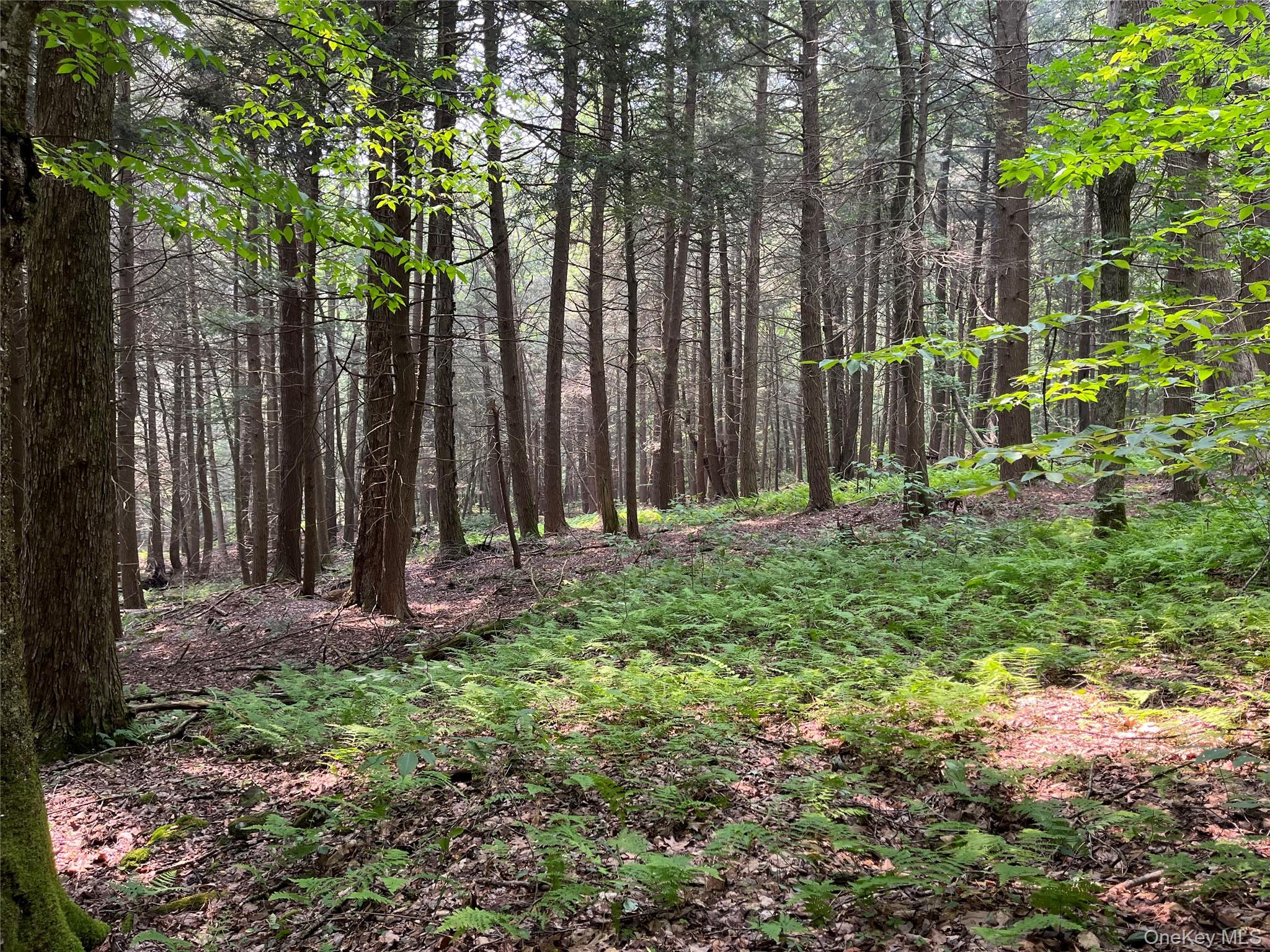 #12 photo, Hood Road, Roscoe , NY 12776