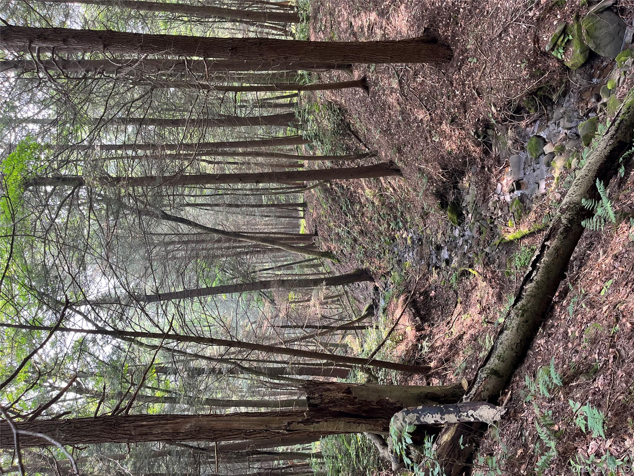 #13 photo, Hood Road, Roscoe , NY 12776