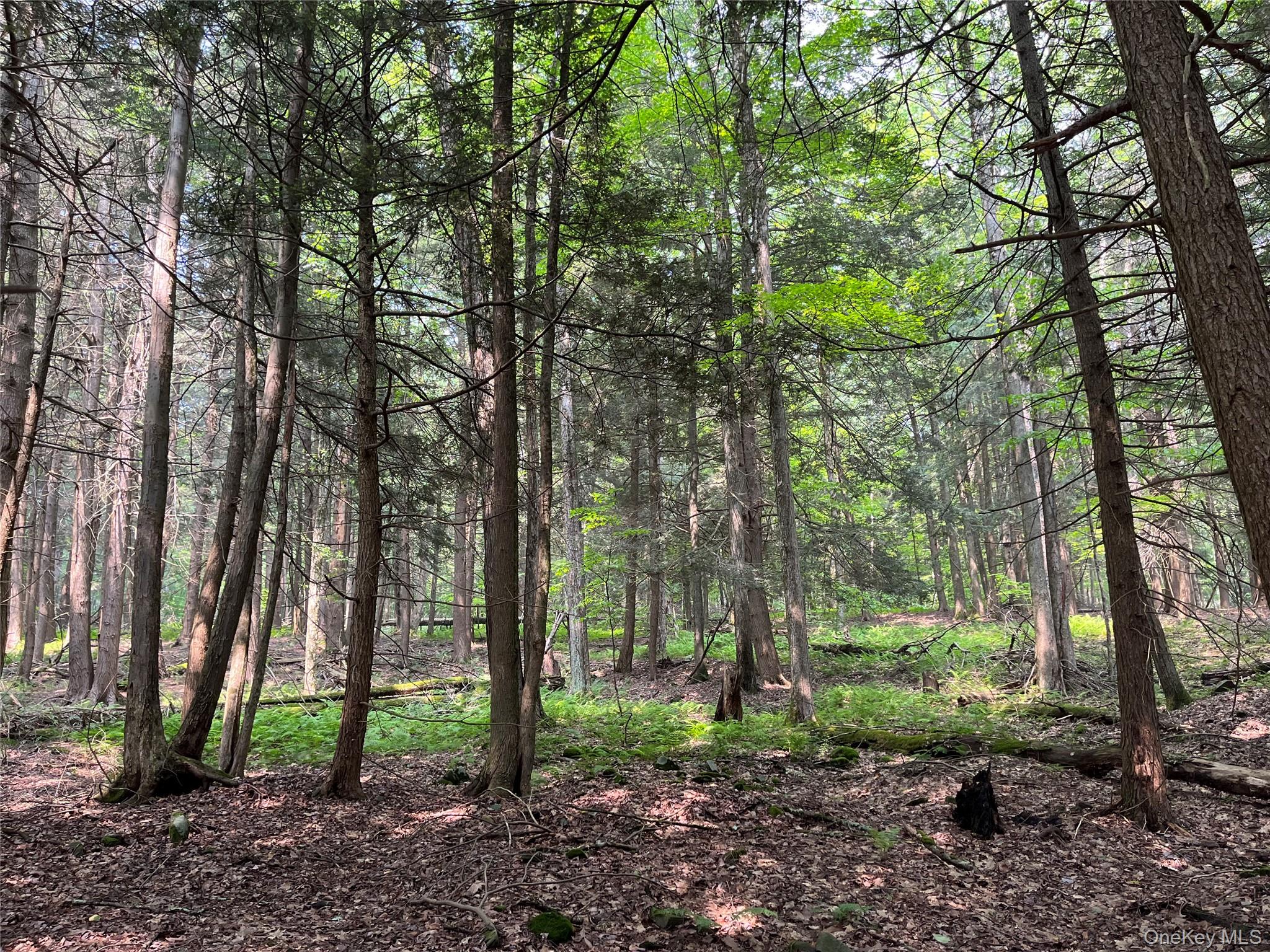 #14 photo, Hood Road, Roscoe , NY 12776