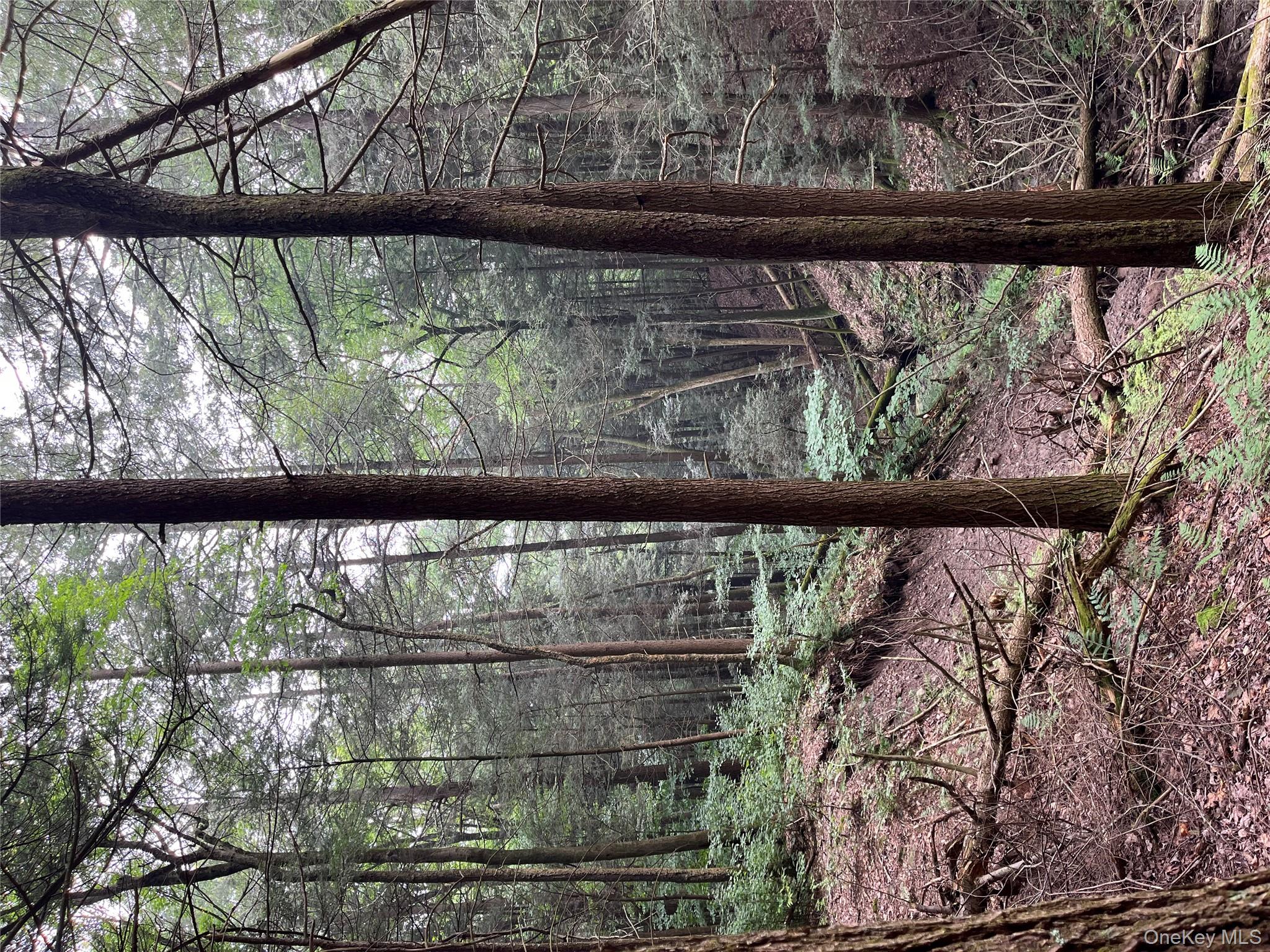 #15 photo, Hood Road, Roscoe , NY 12776