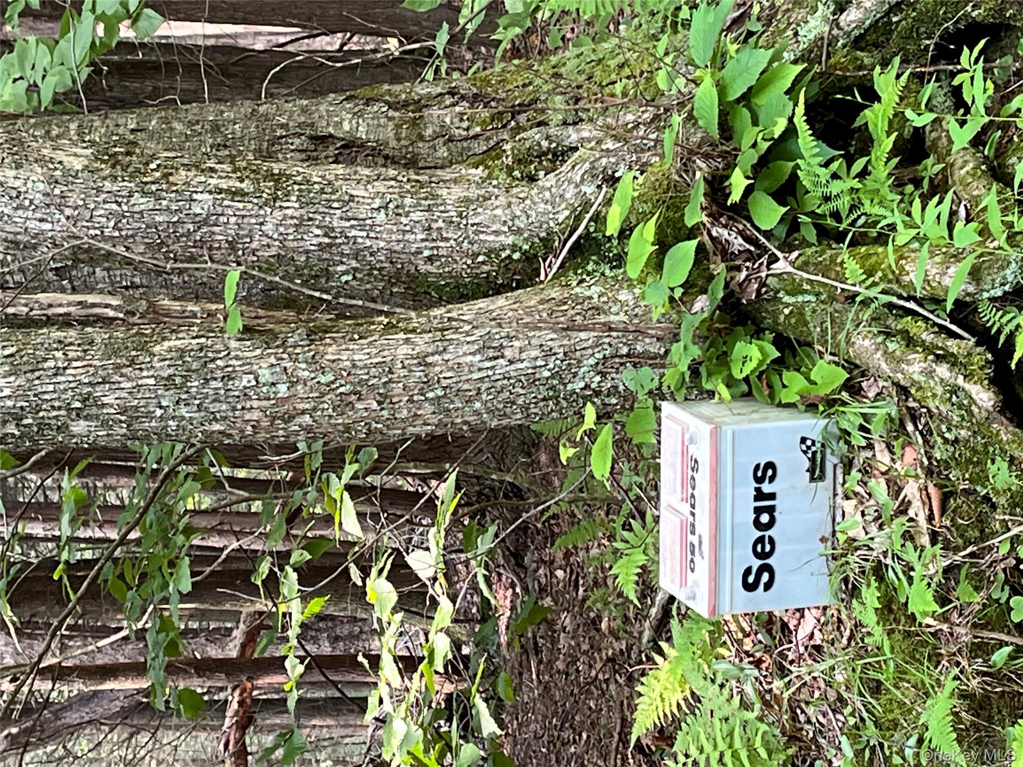 #16 photo, Hood Road, Roscoe , NY 12776