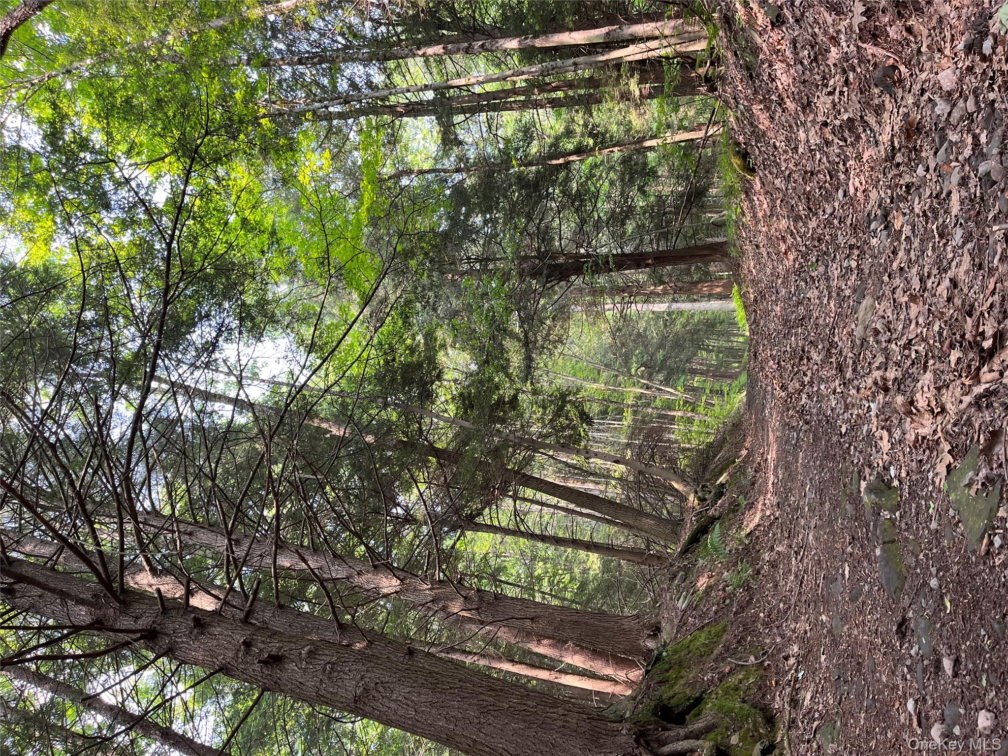 #17 photo, Hood Road, Roscoe , NY 12776