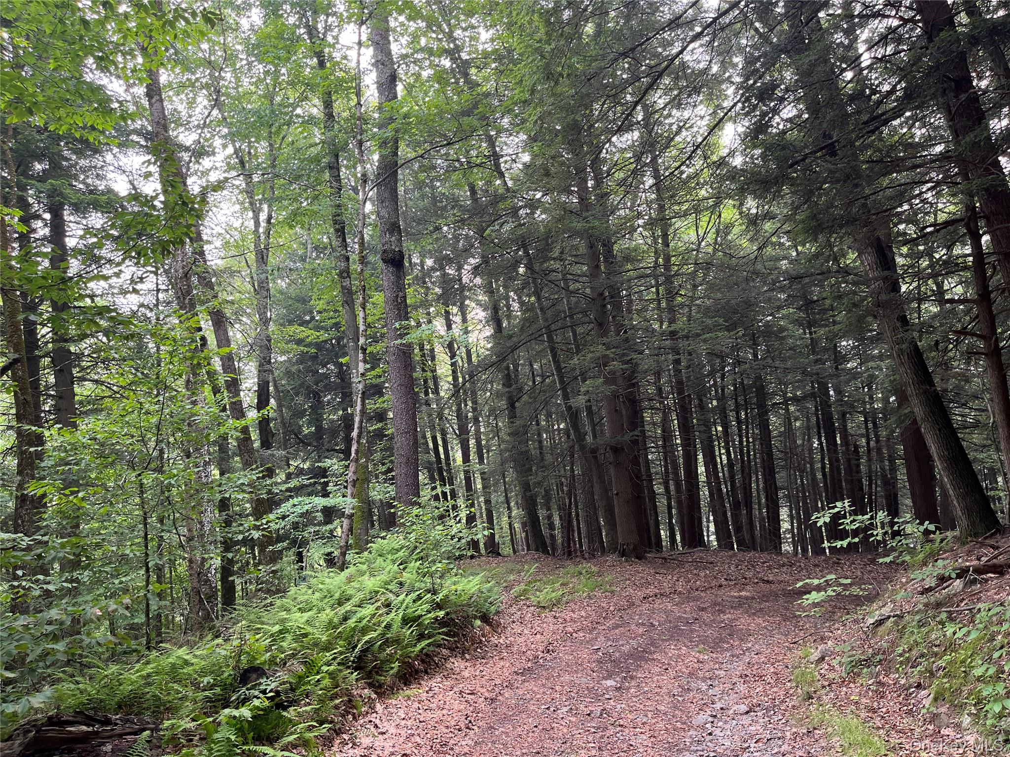 #18 photo, Hood Road, Roscoe , NY 12776