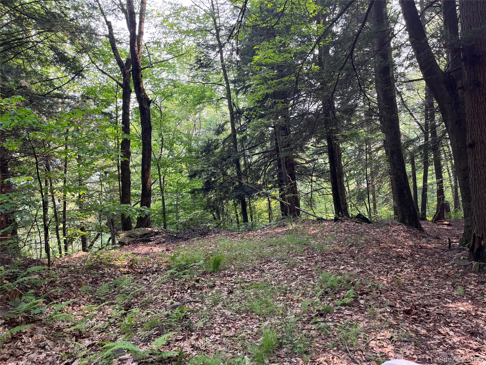 #19 photo, Hood Road, Roscoe , NY 12776