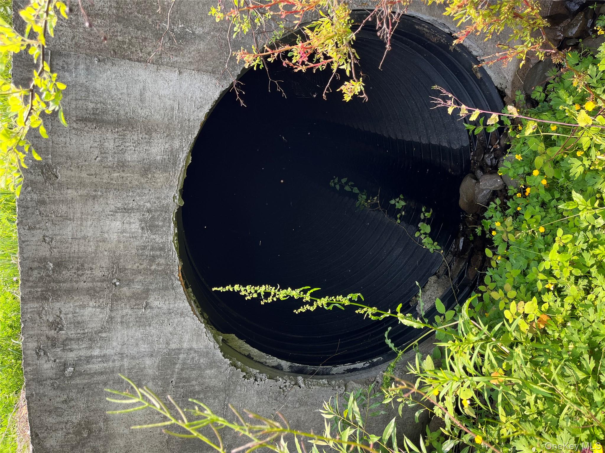 #2 photo, Hood Road, Roscoe , NY 12776