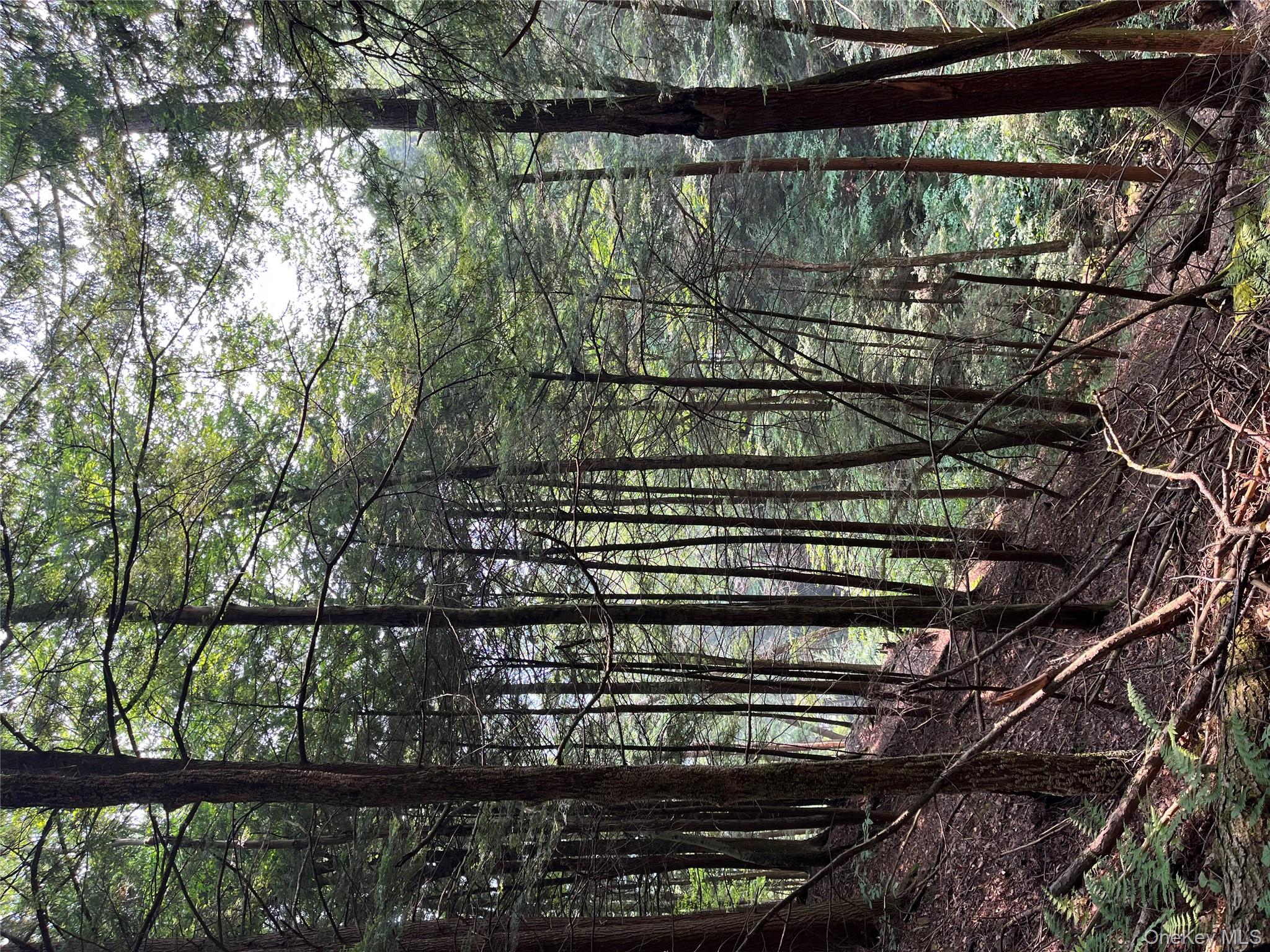 #20 photo, Hood Road, Roscoe , NY 12776