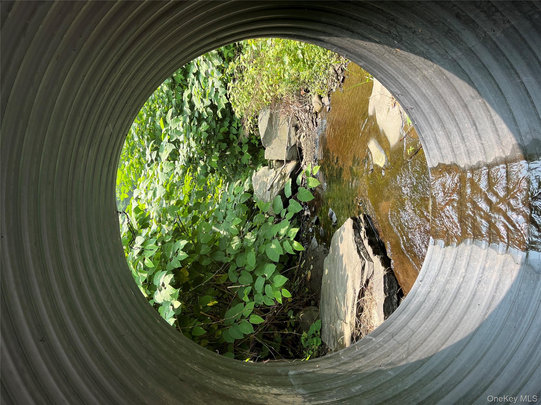 #4 photo, Hood Road, Roscoe , NY 12776