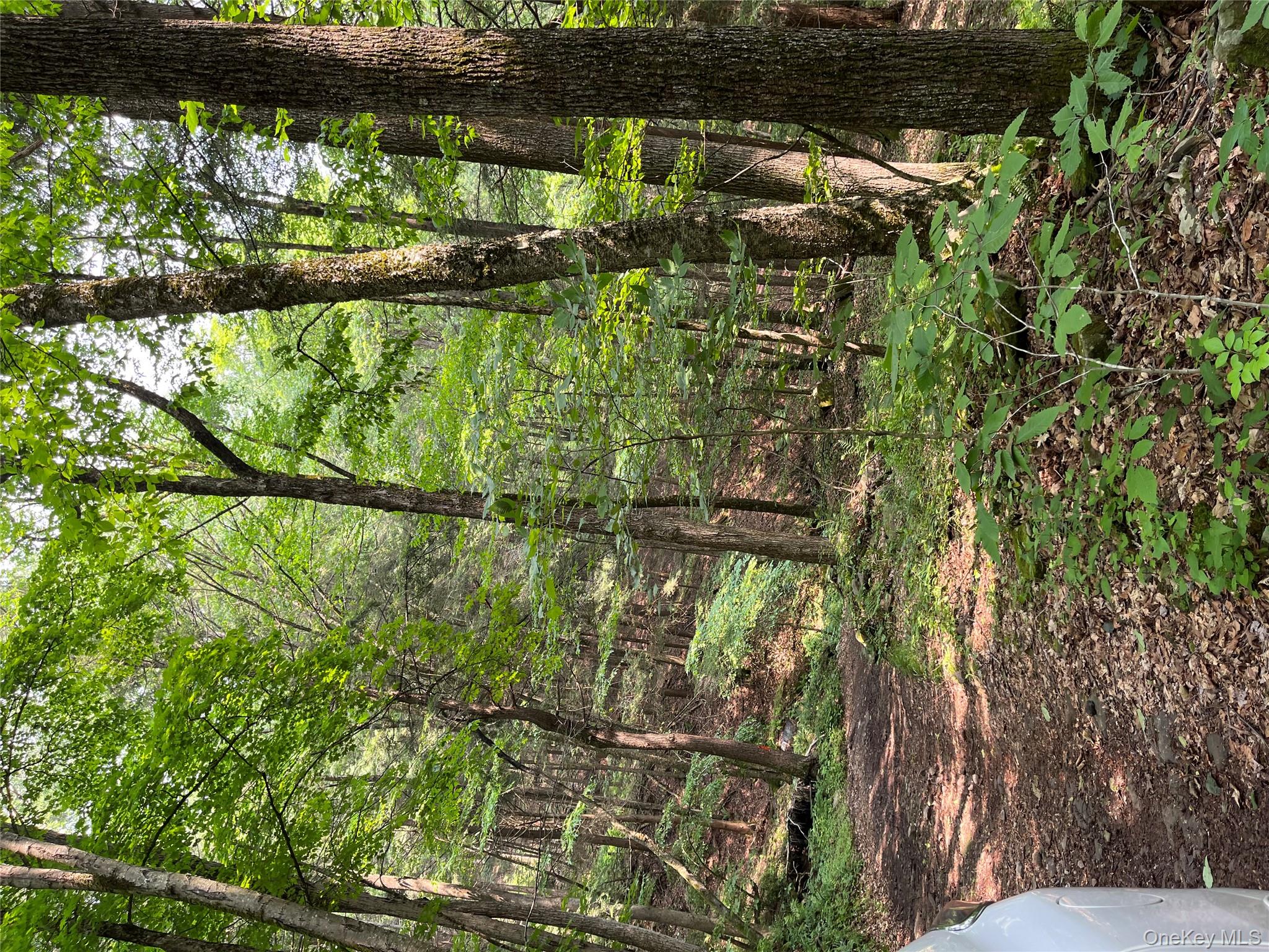 #6 photo, Hood Road, Roscoe , NY 12776