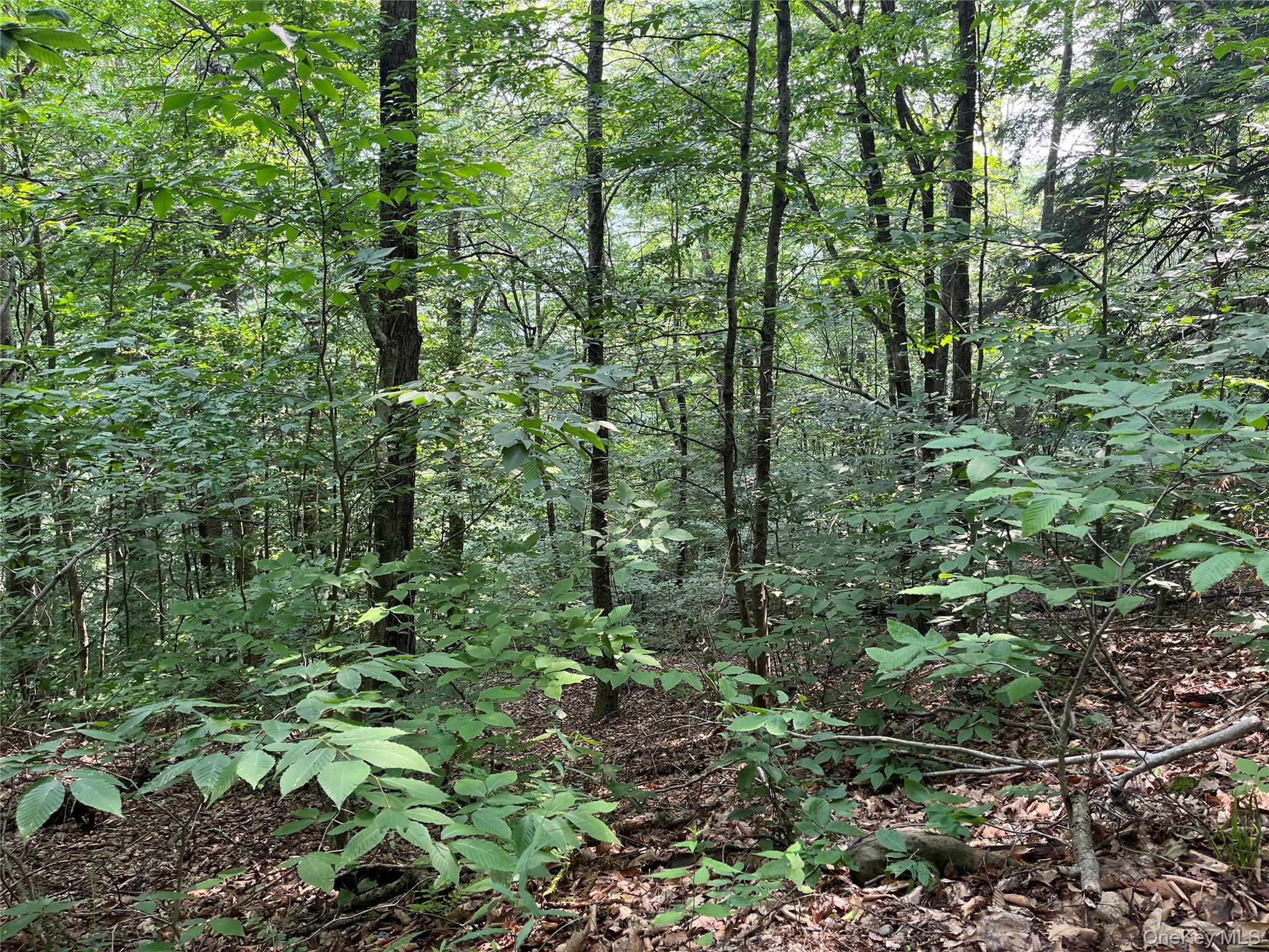 #7 photo, Hood Road, Roscoe , NY 12776