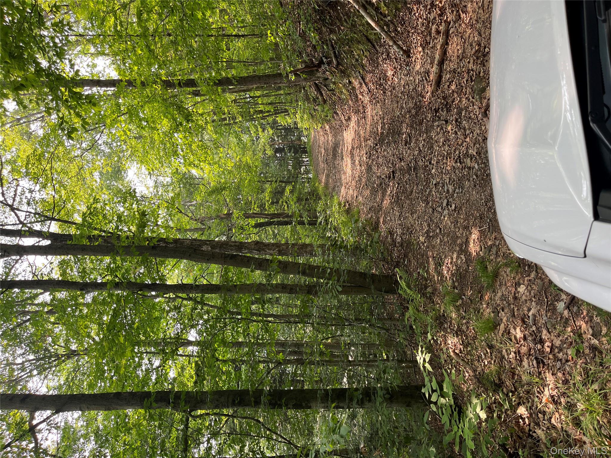 #8 photo, Hood Road, Roscoe , NY 12776