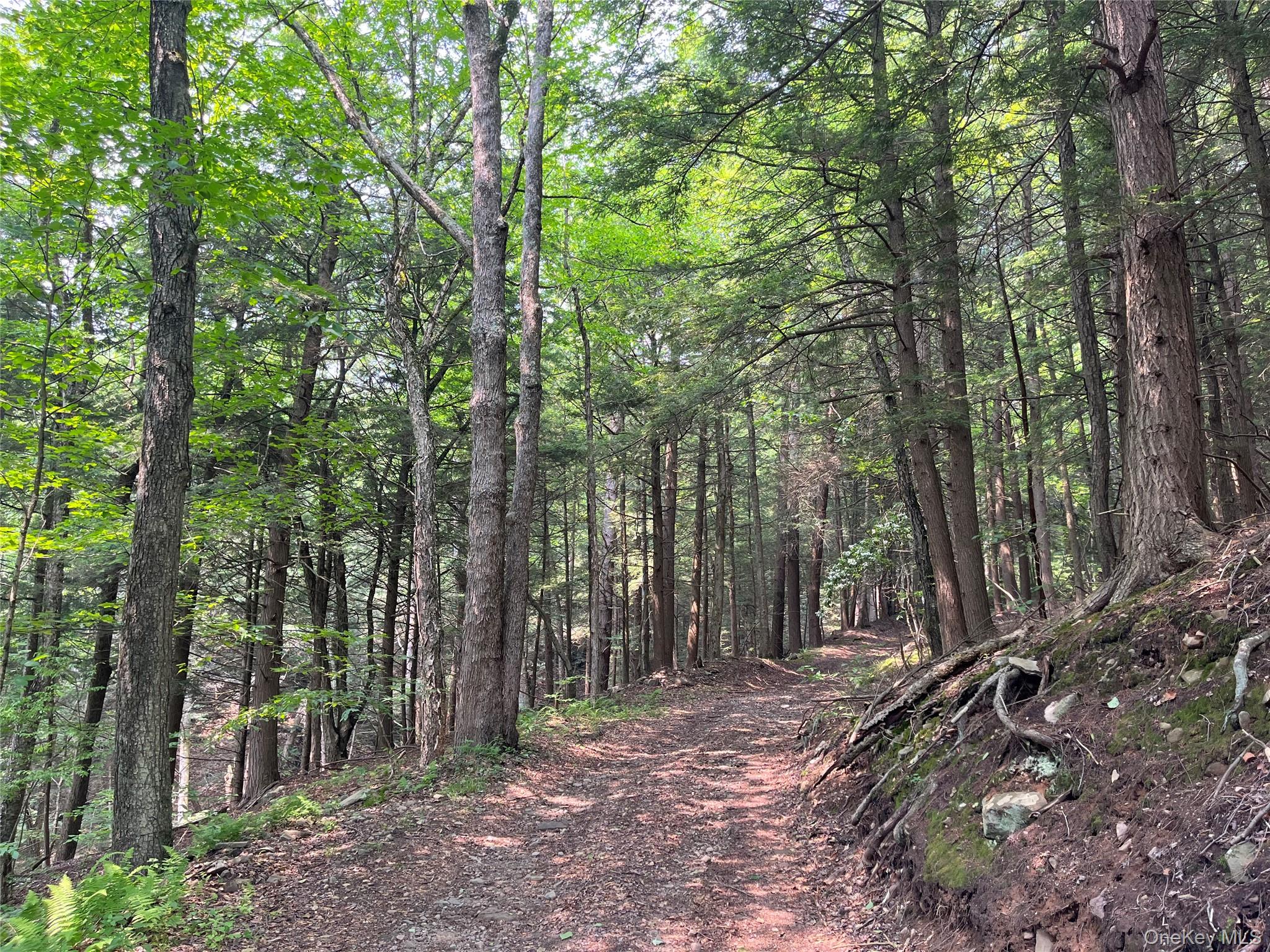 #9 photo, Hood Road, Roscoe , NY 12776