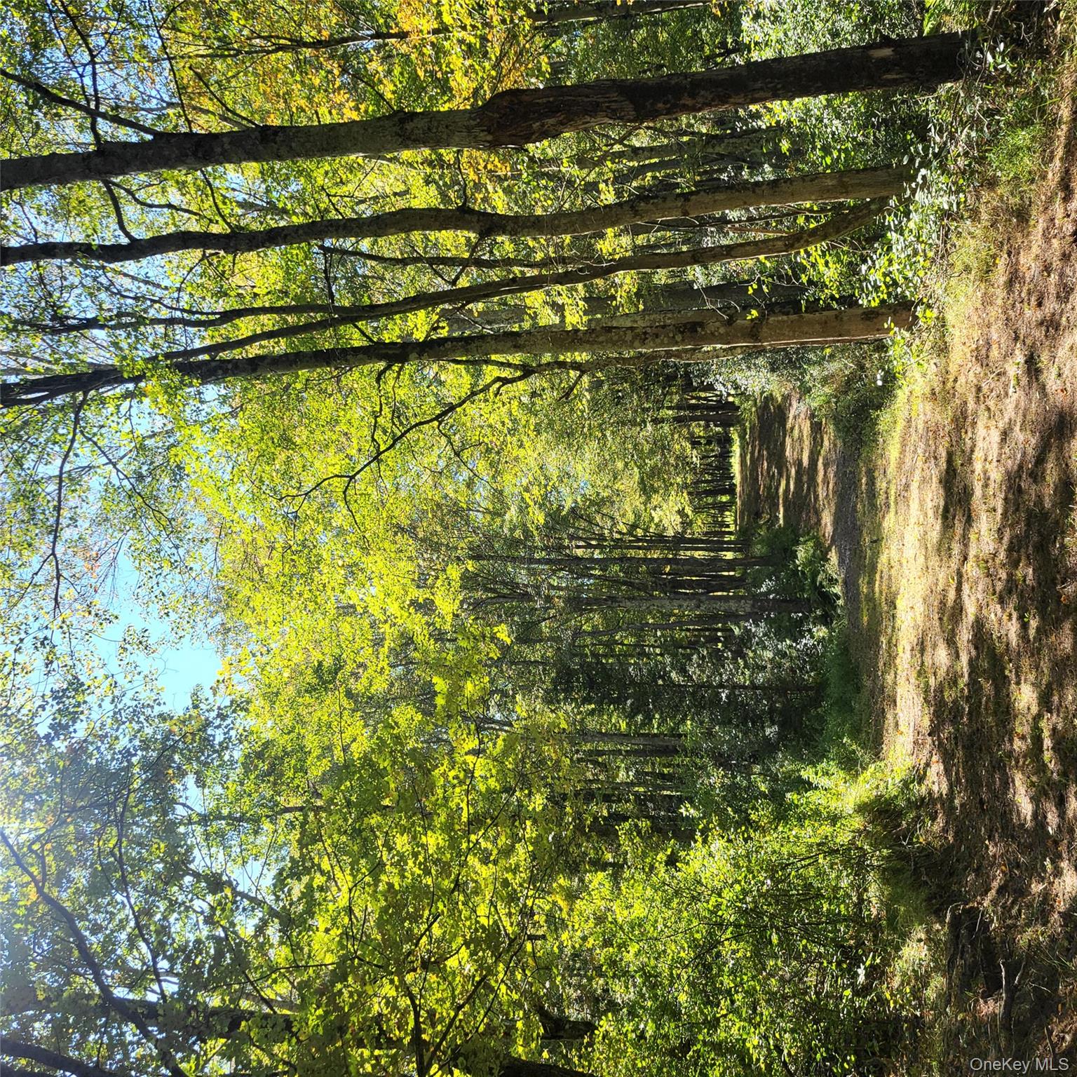 #1 photo, TBD Stephenson Road, Swan Lake , NY 12720