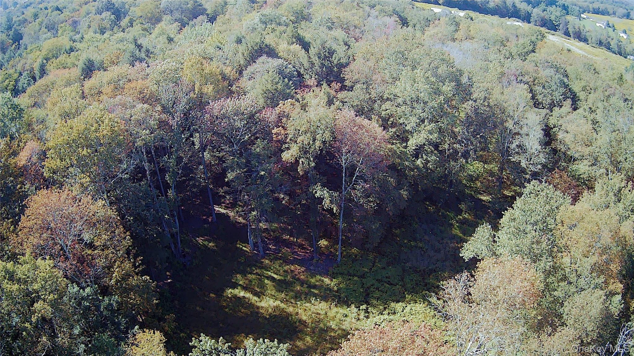 #10 photo, TBD Stephenson Road, Swan Lake , NY 12720