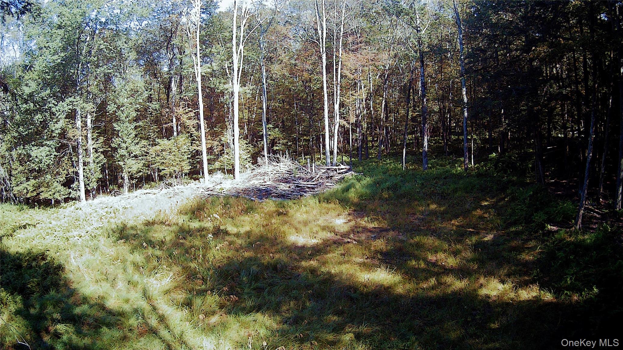 #11 photo, TBD Stephenson Road, Swan Lake , NY 12720