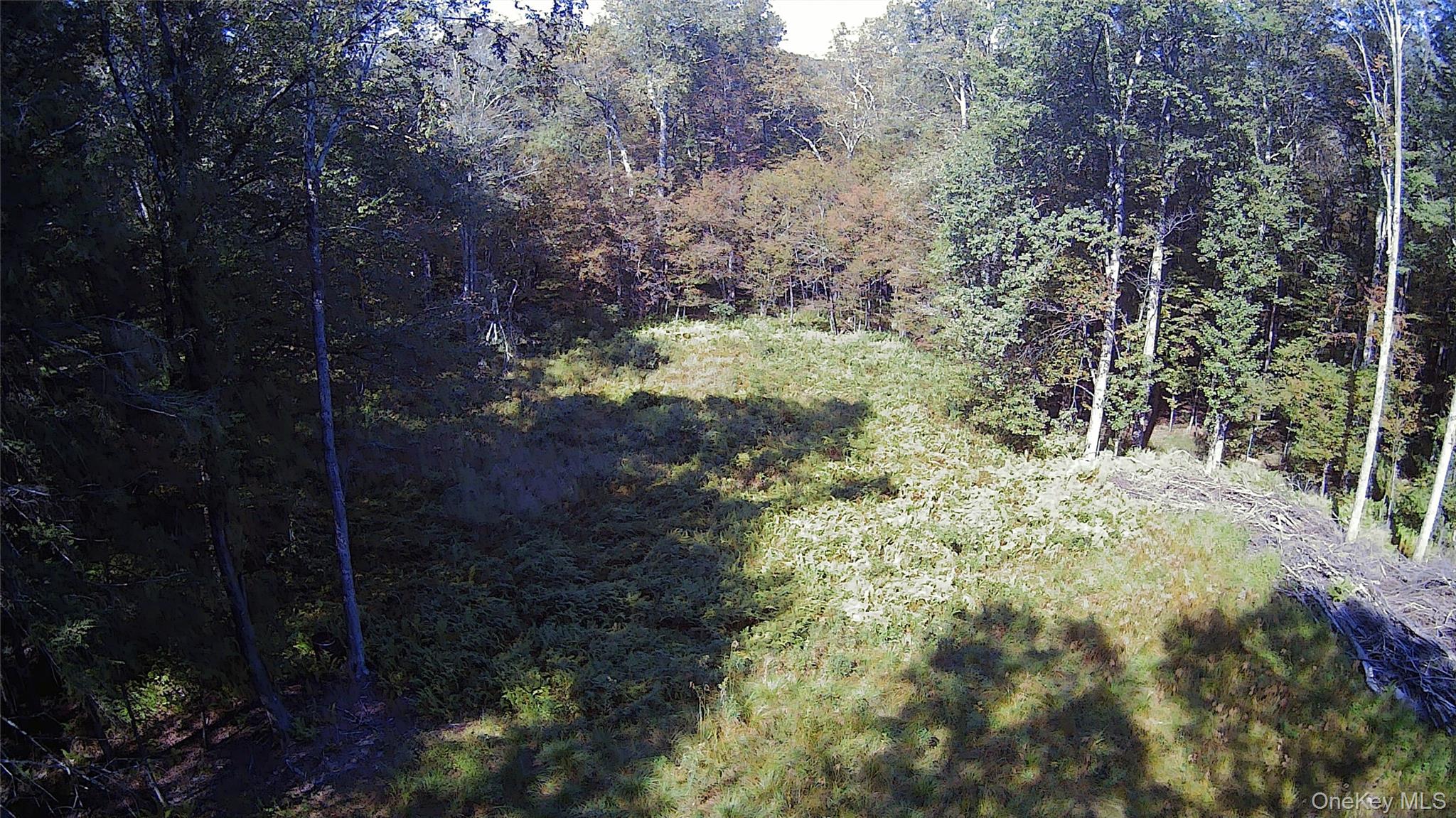 #12 photo, TBD Stephenson Road, Swan Lake , NY 12720