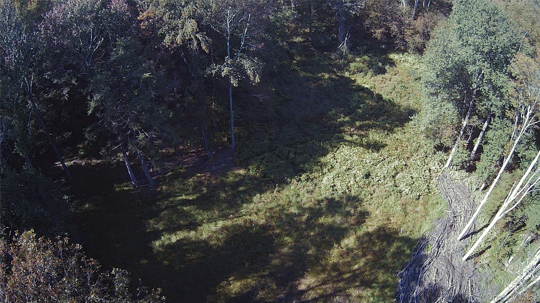 #13 photo, TBD Stephenson Road, Swan Lake , NY 12720