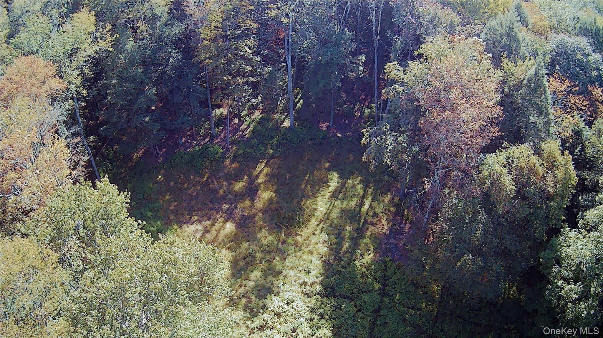 #14 photo, TBD Stephenson Road, Swan Lake , NY 12720