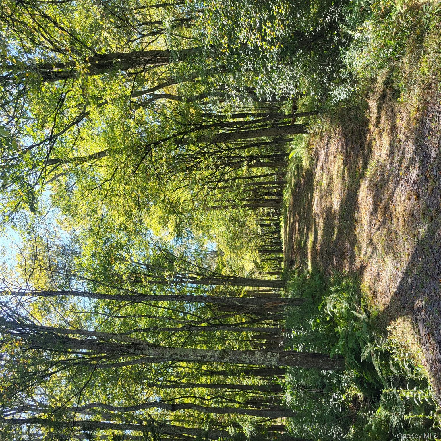 #2 photo, TBD Stephenson Road, Swan Lake , NY 12720