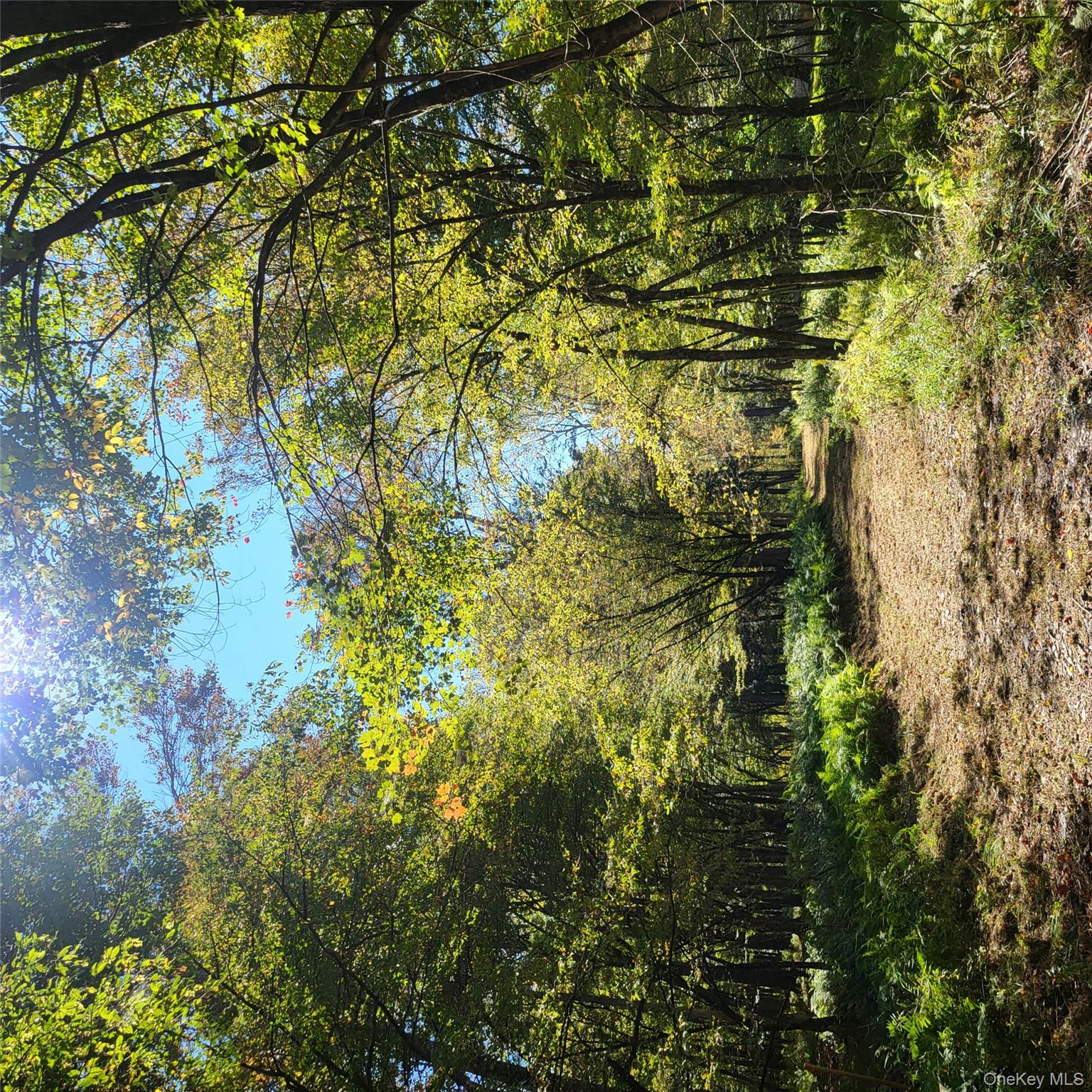 #3 photo, TBD Stephenson Road, Swan Lake , NY 12720