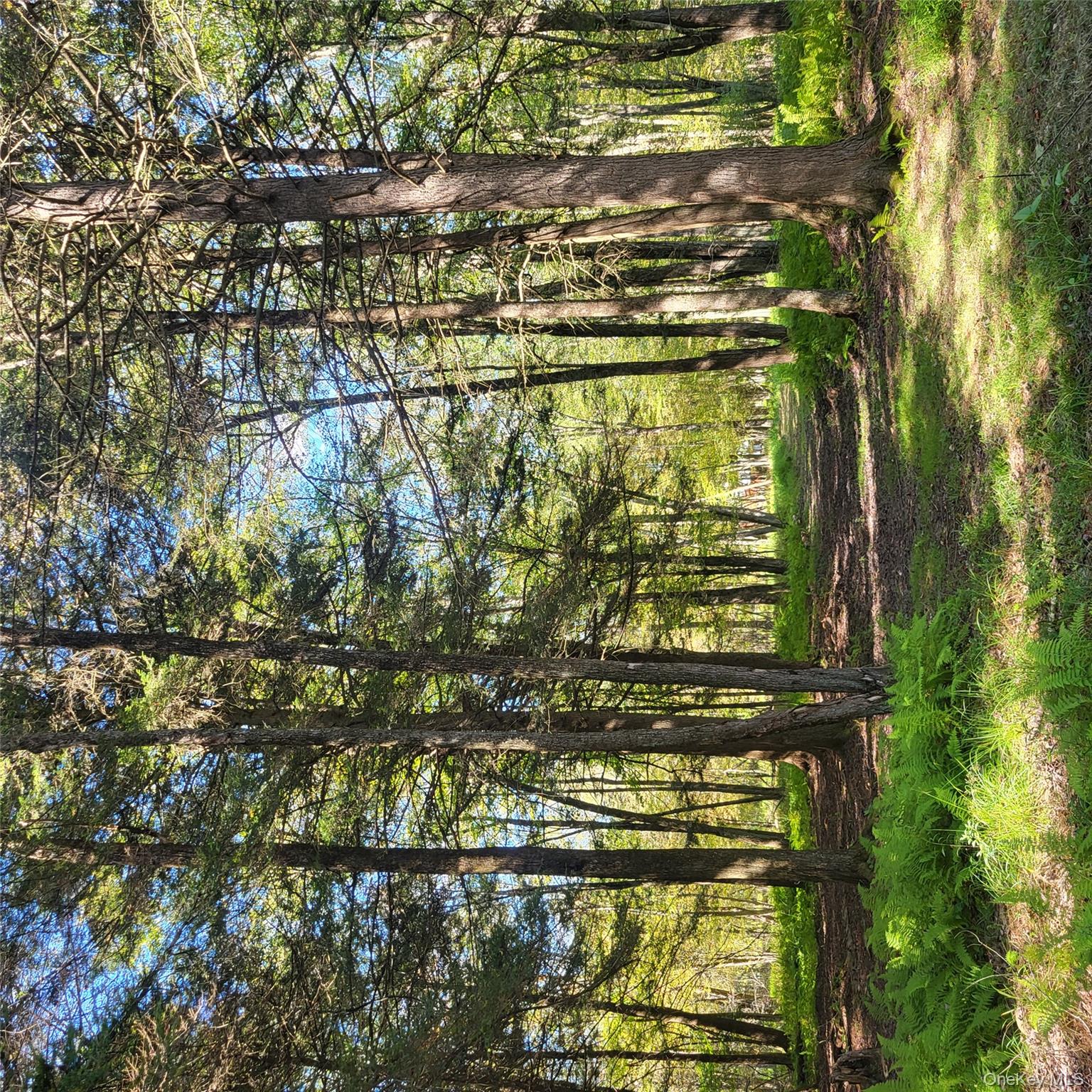 #4 photo, TBD Stephenson Road, Swan Lake , NY 12720