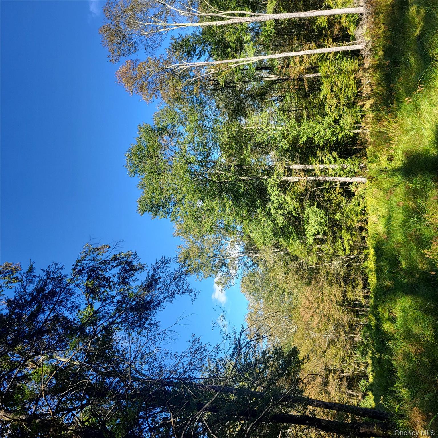 #5 photo, TBD Stephenson Road, Swan Lake , NY 12720