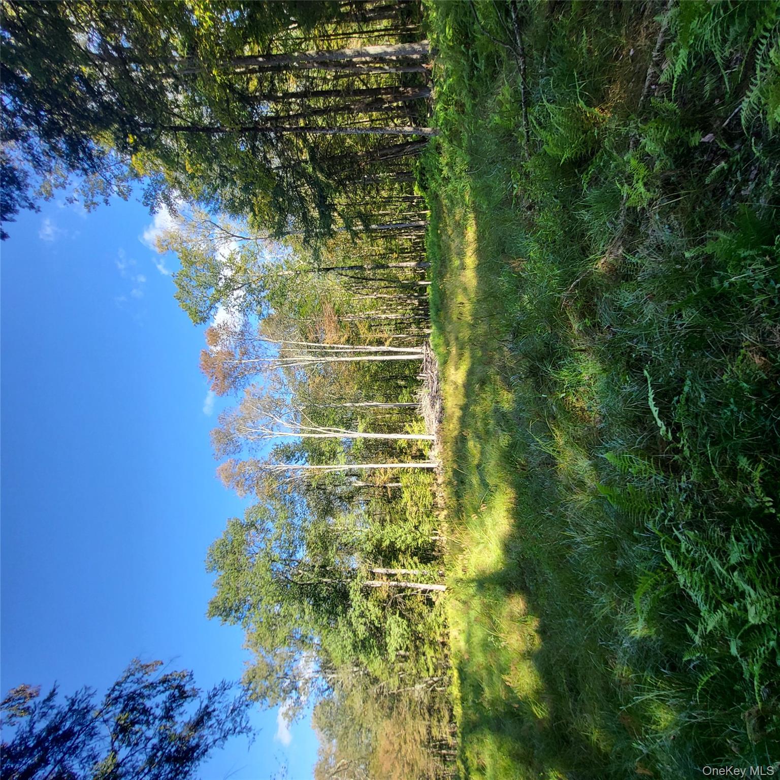 #6 photo, TBD Stephenson Road, Swan Lake , NY 12720